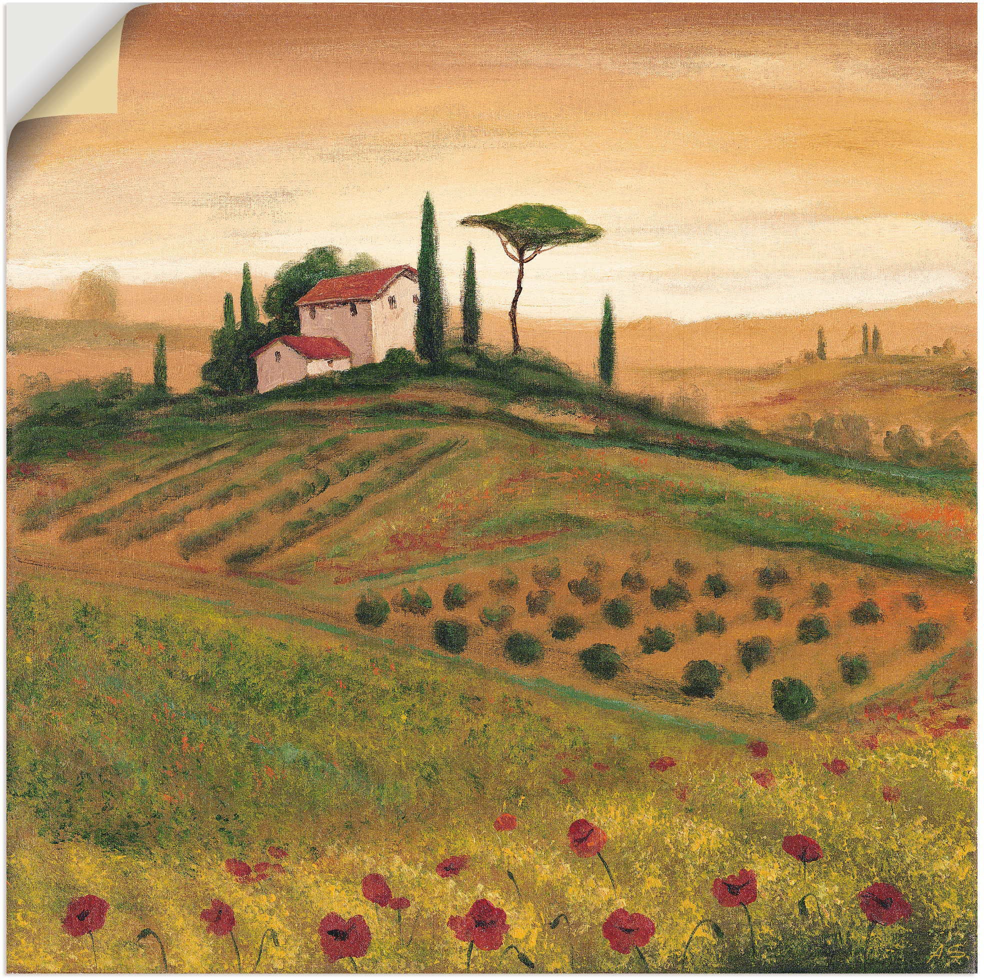 Image of Artland Wandbild »Toskanalandschaft mit Mohnblumen I«, Bilder von Europa, (1 St.), in vielen Grössen & Produktarten - Alubild / Outdoorbild für den Aussenbereich, Leinwandbild, Poster, Wandaufkleber / Wandtattoo auch für Badezimmer geeignet bei Ackermann 