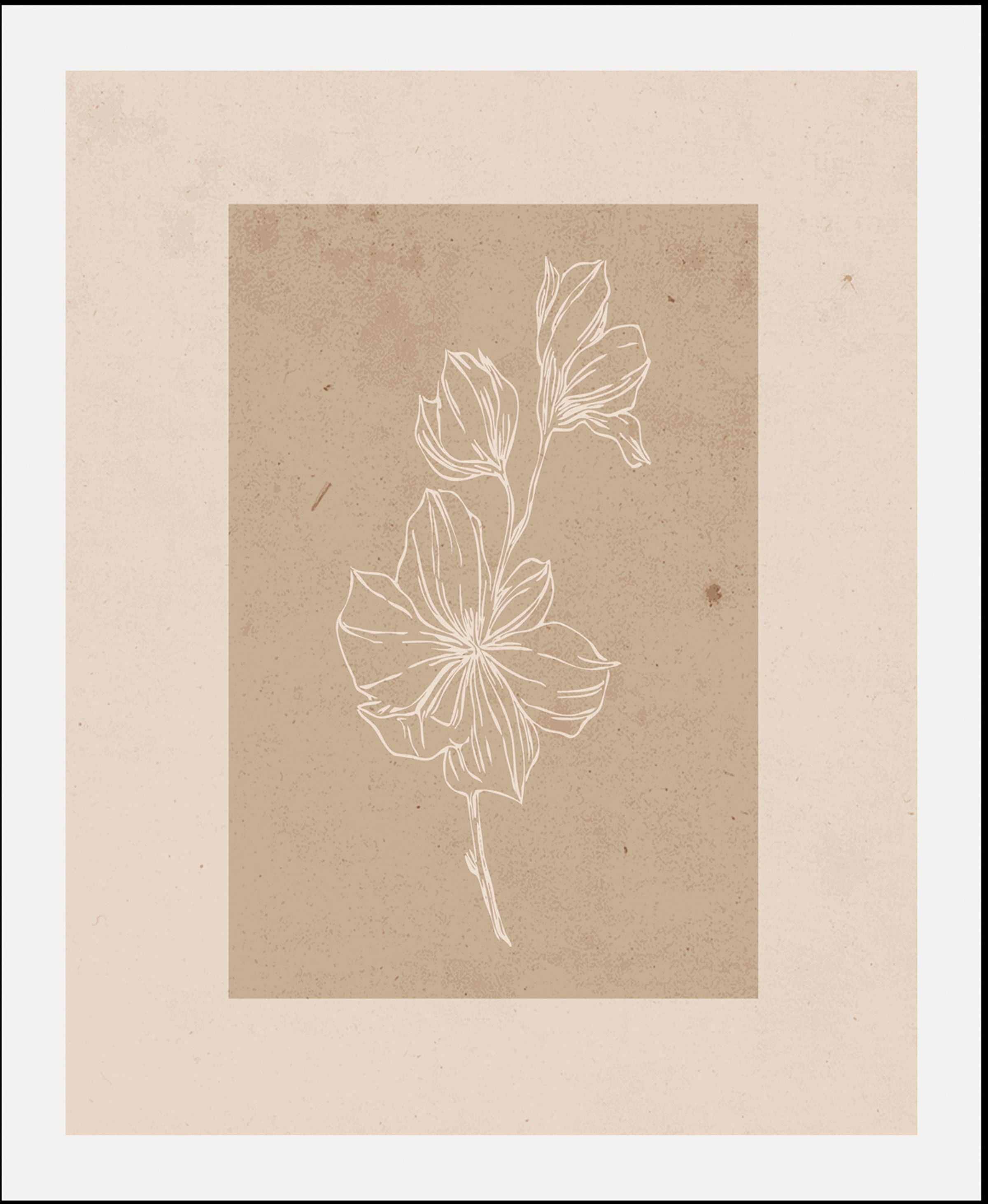 Image of queence Bild "Havanna" Art Blumen Kunst Pflanzen Pflanzenbilder 1 Stk. tlg. gerahmt