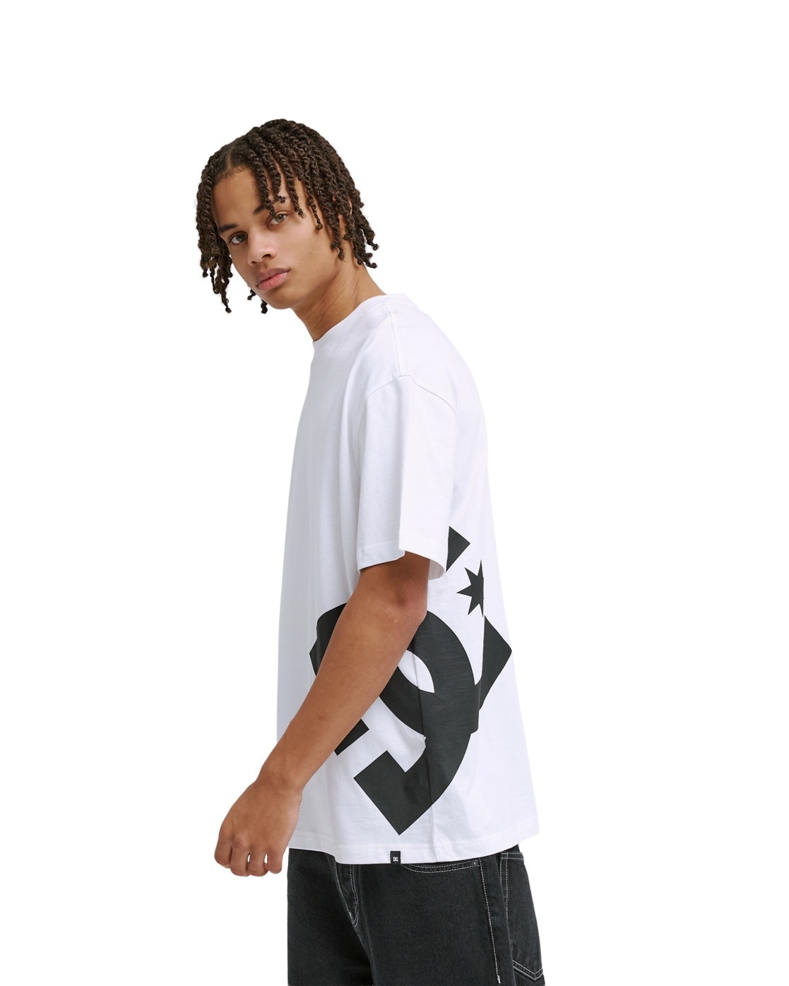DC Shoes T-shirt »DC Lanai«