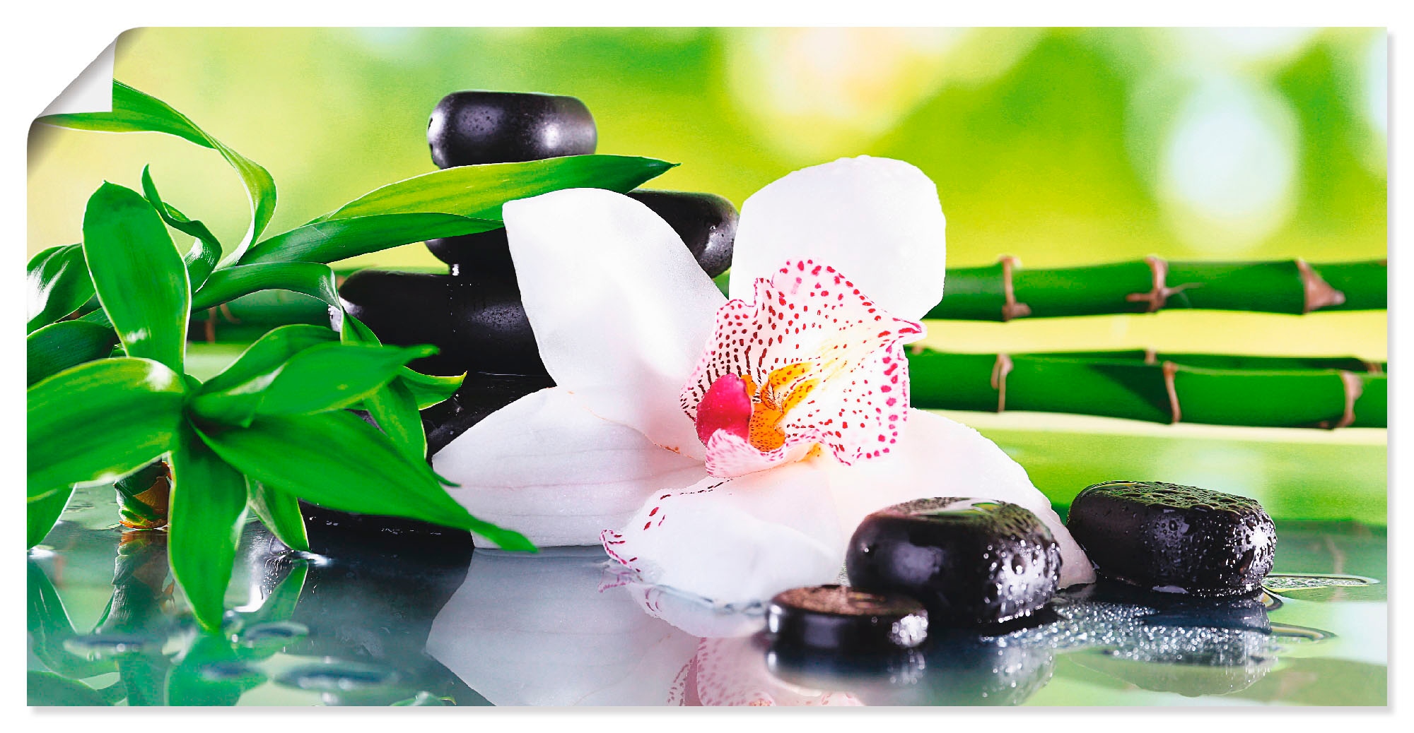 Image of Artland Wandbild "Spa Steine Bambus Zweige Orchidee" Zen 1 Stk. tlg. als Alubild, Leinwandbild, Poster in verschied. Grössen