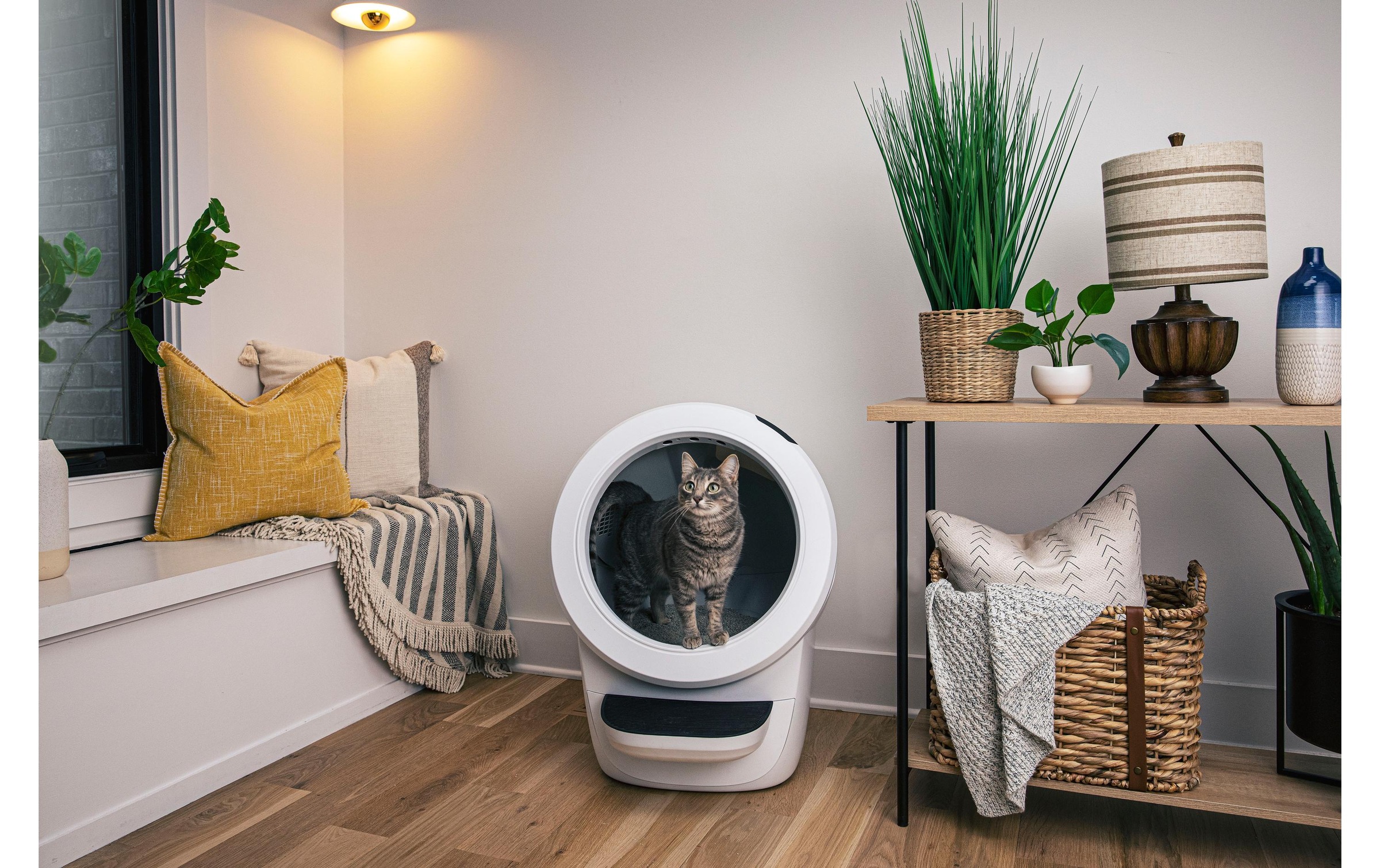 Katzentoilette »Litter-Robot Katzentoilette Litter Robot 4«