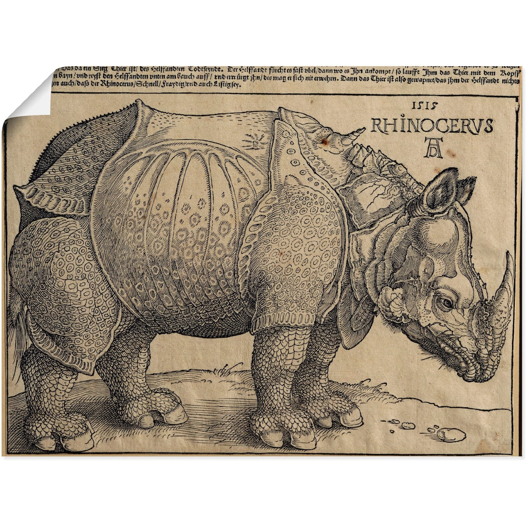 Artland Kunstdruck »Nashorn. 1515. Für König Emanuel.«, Wildtiere, (1 St.)