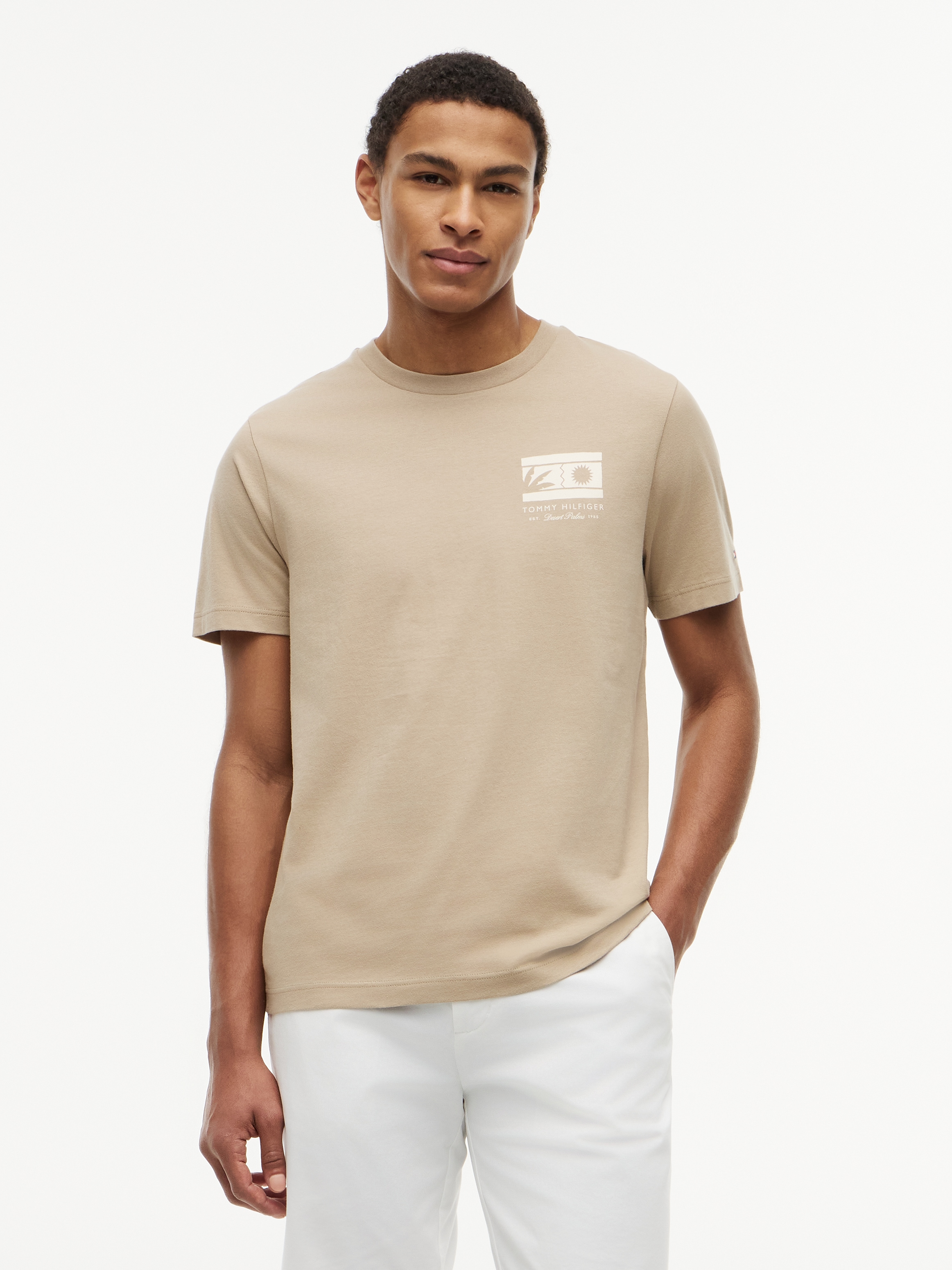 Tommy Hilfiger T-Shirt »MONO SUN GRAPHIC REGULAR TEE« aus Jersey mit Logo-Grafik