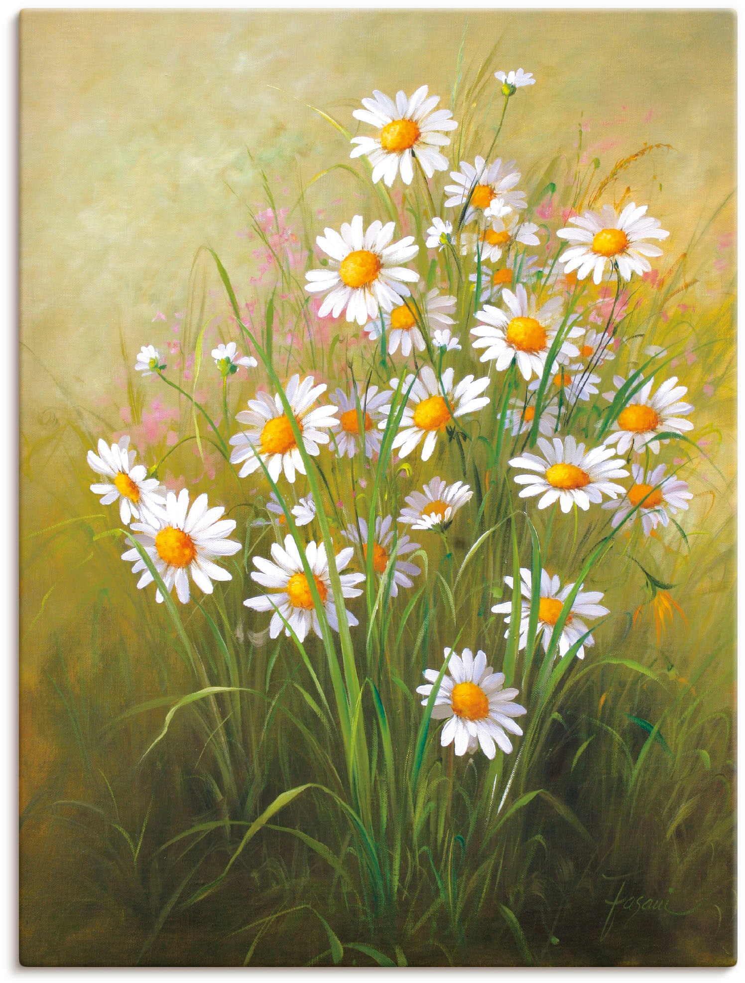 Image of Artland Wandbild »Weisse Gänseblümchen«, Blumenbilder, (1 St.), in vielen Grössen & Produktarten - Alubild / Outdoorbild für den Aussenbereich, Leinwandbild, Poster, Wandaufkleber / Wandtattoo auch für Badezimmer geeignet bei Ackermann Versand Schweiz