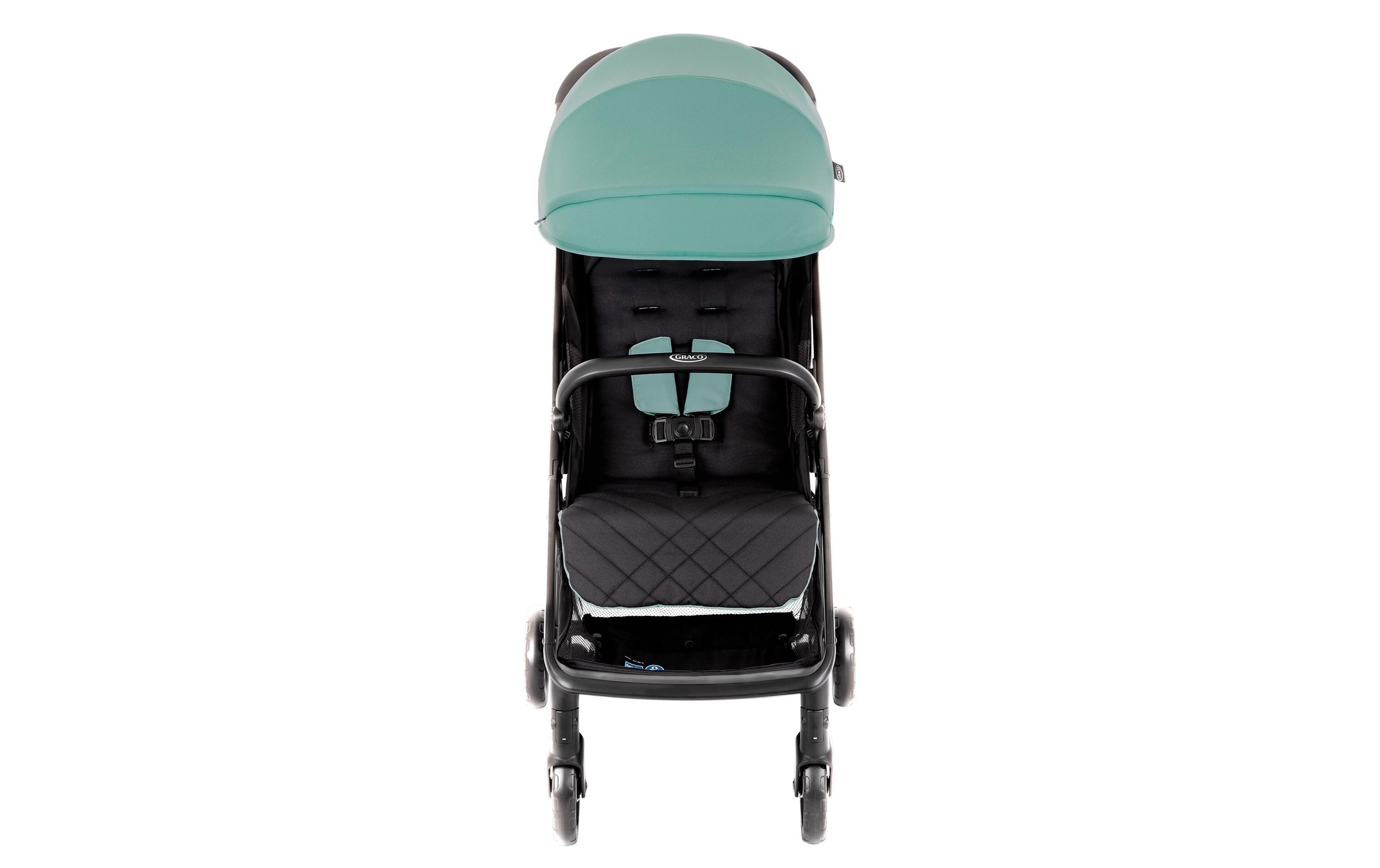 Kinder-Buggy »Graco Myavo Mint«, 22 kg