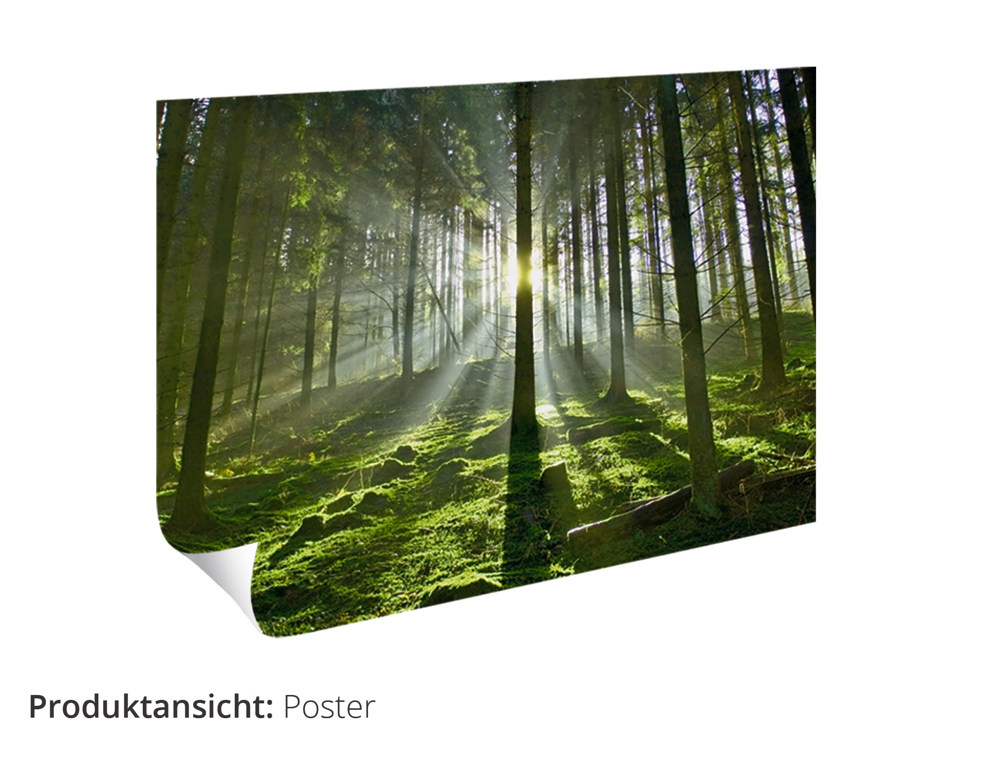 Artland Wandbild »Kleiner Wasserfall in den Bergen«, Gewässer, (1 St.), als Leinwandbild, Poster, Wandaufkleber in verschied. Grössen