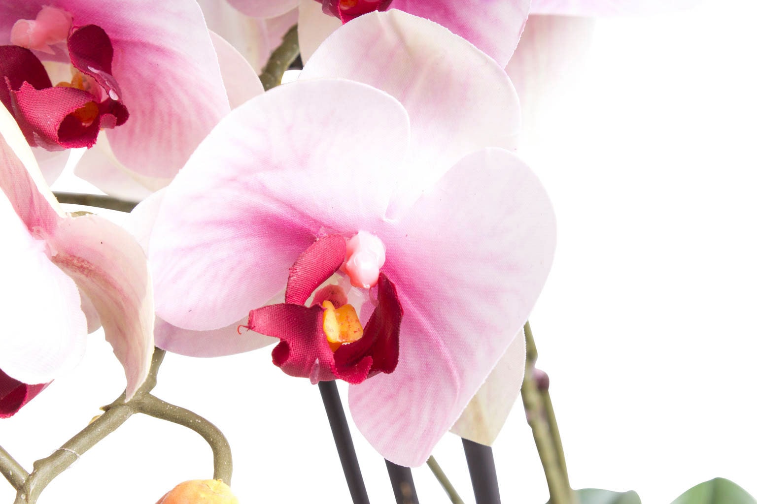 Botanic-Haus Bora« kaufen Kunstorchidee »Orchidee bequem