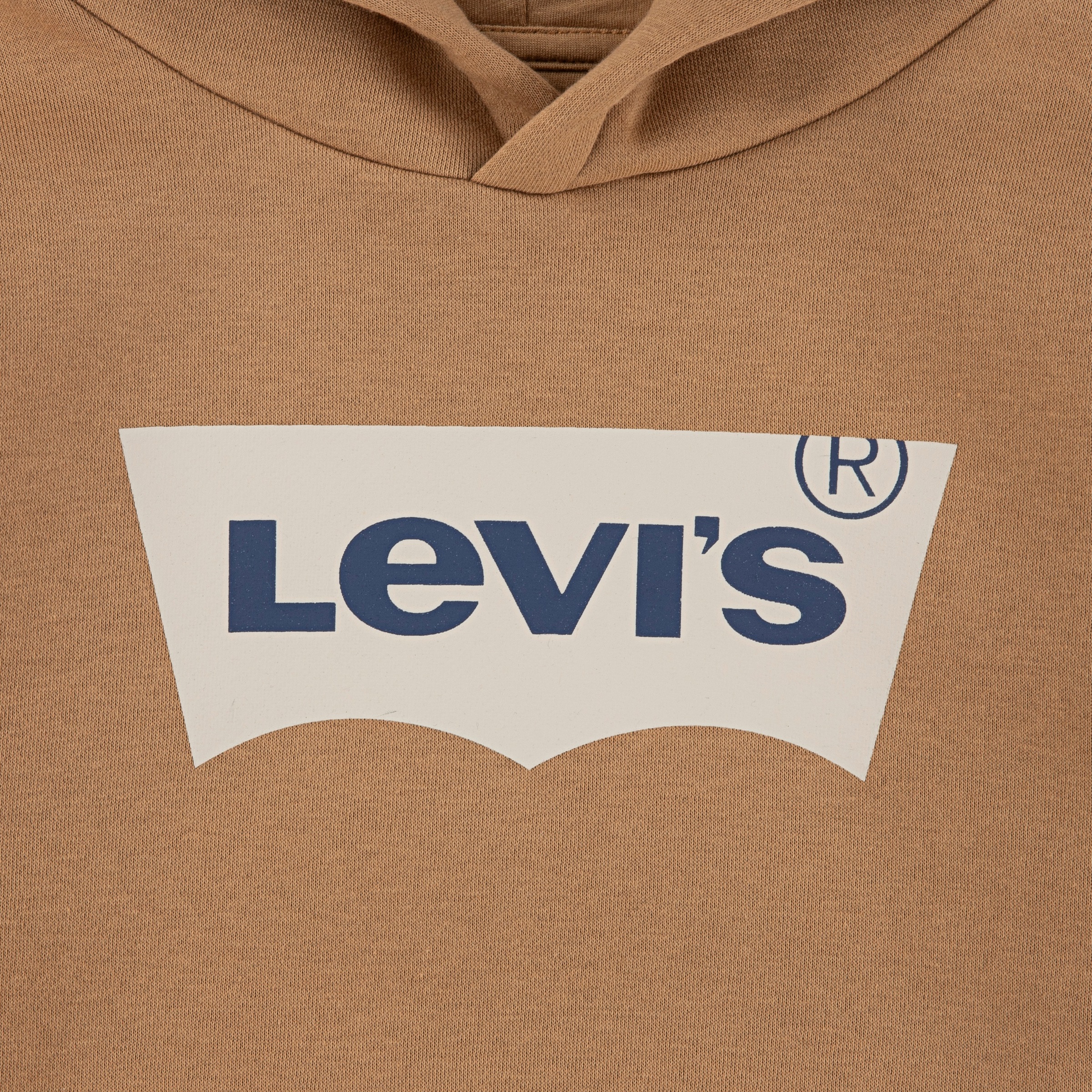 Levi's® Kids Kapuzensweatshirt »LVB BATWING PULLOVER HOODIE«, for BOYS
