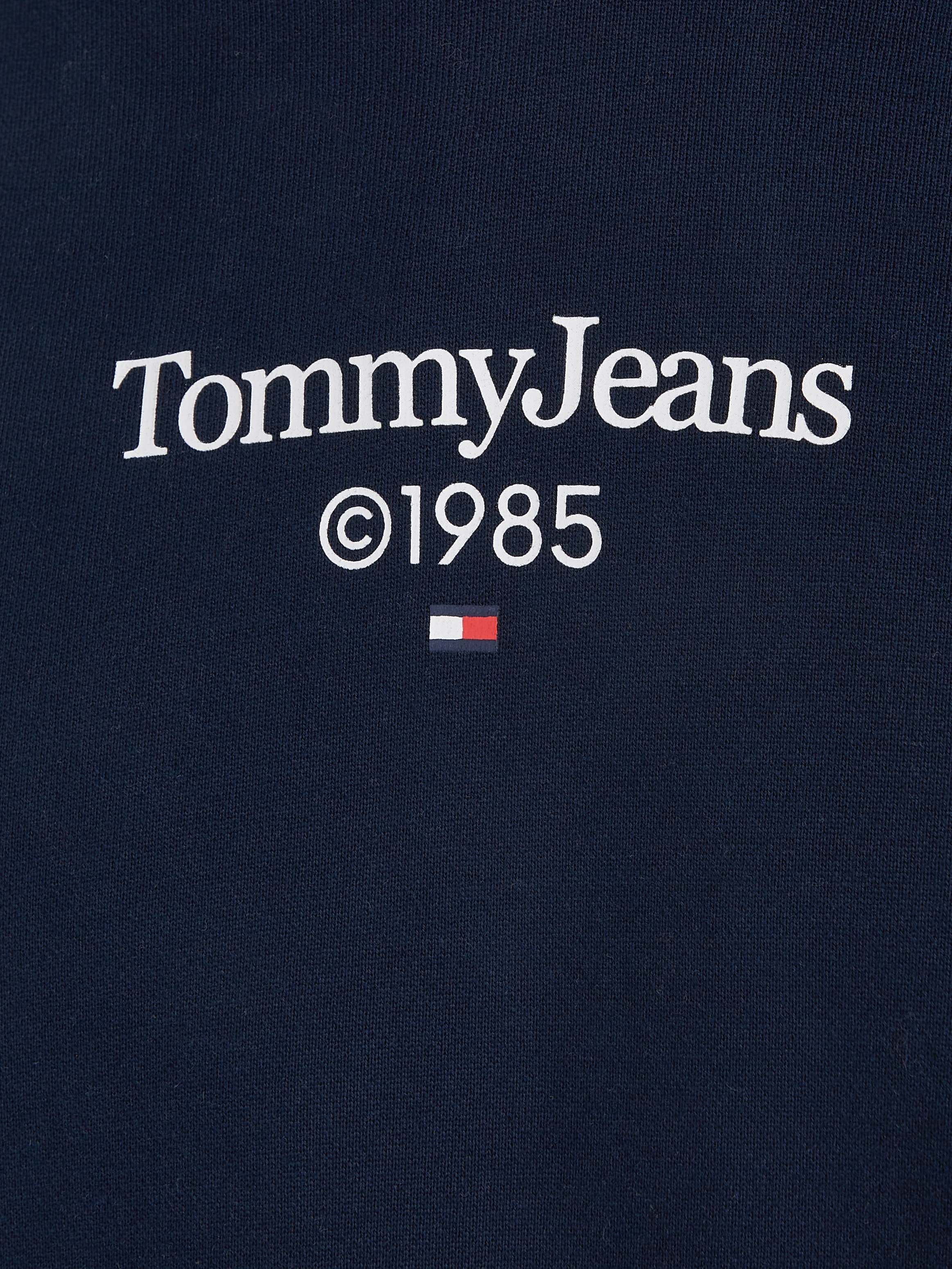 Tommy Jeans Plus Hoodie »TJM REG ENTRY GRAPHIC HOODIE EXT«, mit grossem Rückenprint