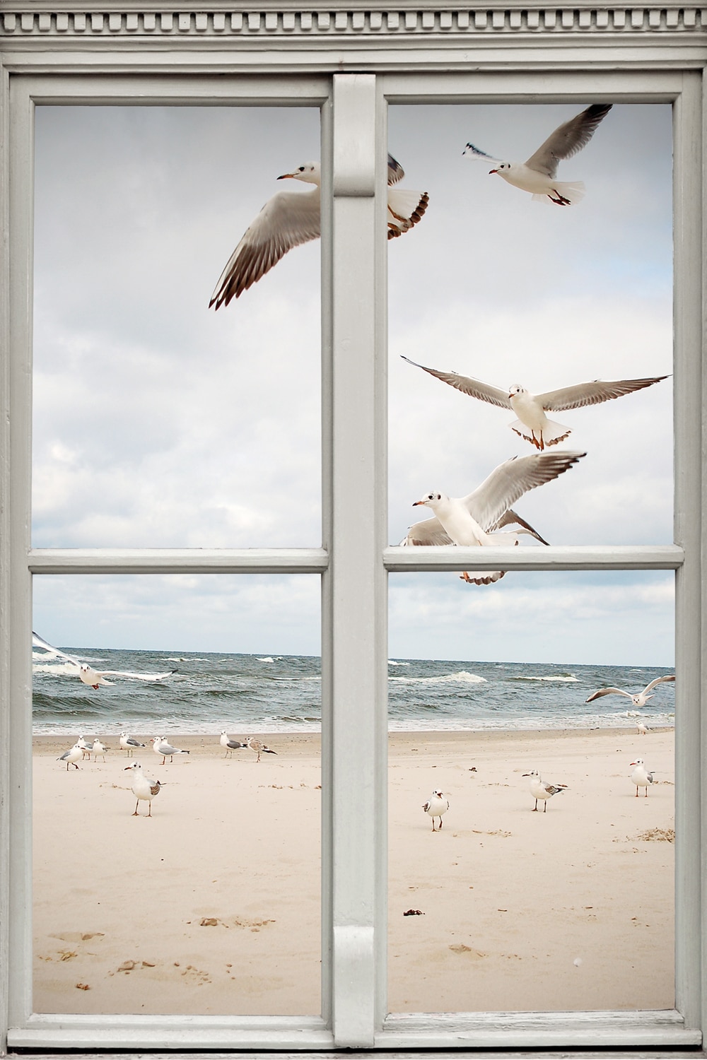 Image of queence Leinwandbild "Möwen" Fensterblick Meer Natur Vögel 1 Stk. tlg. Premium-Leinwandstoff