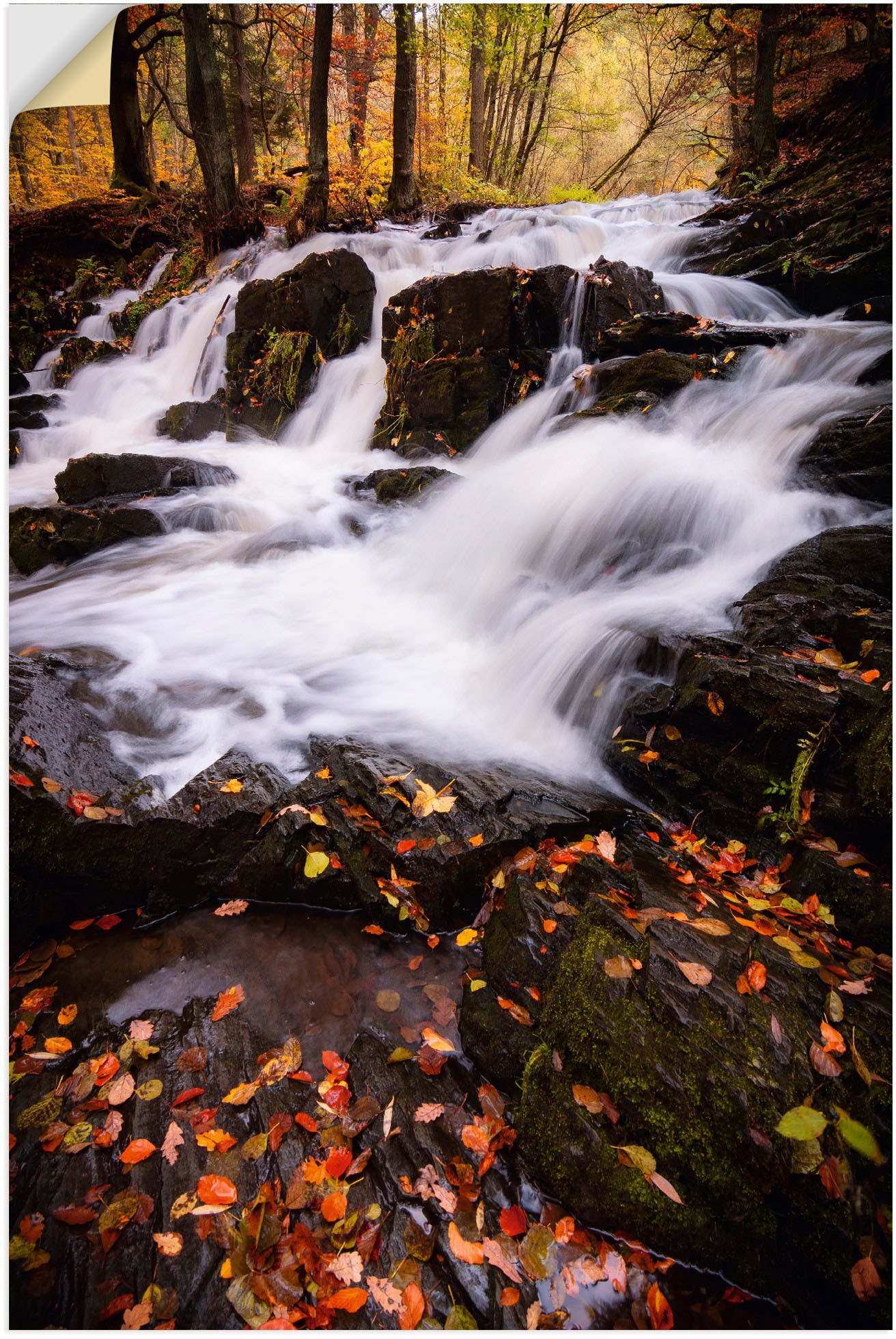 Image of Artland Wandbild »Wasserfall im Herbst«, Wasserfallbilder, (1 St.), in vielen Grössen & Produktarten - Alubild / Outdoorbild für den Aussenbereich, Leinwandbild, Poster, Wandaufkleber / Wandtattoo auch für Badezimmer geeignet bei Ackermann Versand Schweiz