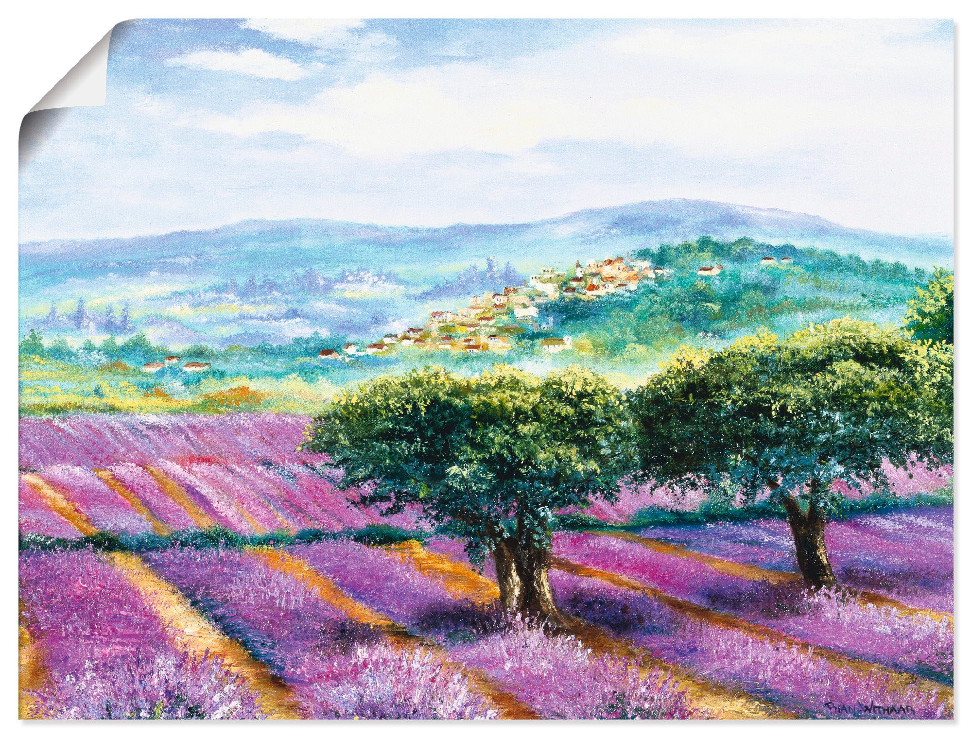 Image of Artland Wandbild »Lavendelfeld«, Blumenwiese, (1 St.), in vielen Grössen & Produktarten -Leinwandbild, Poster, Wandaufkleber / Wandtattoo auch für Badezimmer geeignet bei Ackermann Versand Schweiz