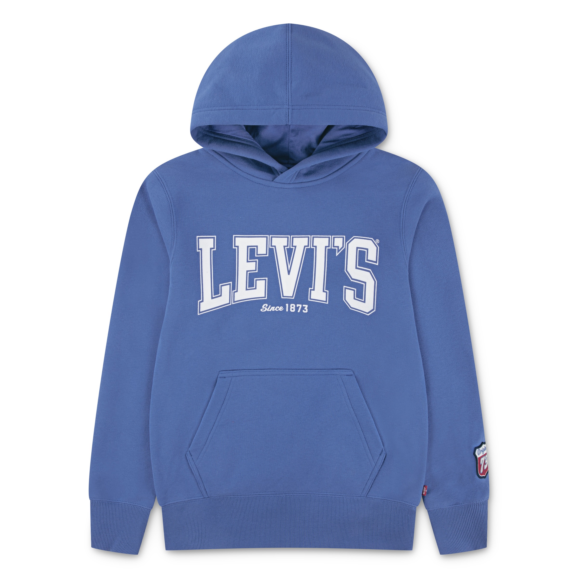 Image of Levis Kids Kapuzensweatshirt "LVB THE GREAT HIGHWAY HOOD", mit kleinem Ärmelbadge