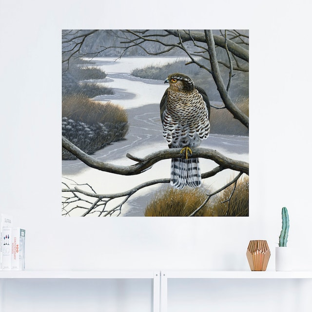 (1 »Falke Artland Wandbild oder Wandaufkleber Grössen Vögel, Poster Leinwandbild, maintenant in Baum«, im versch. als St.),