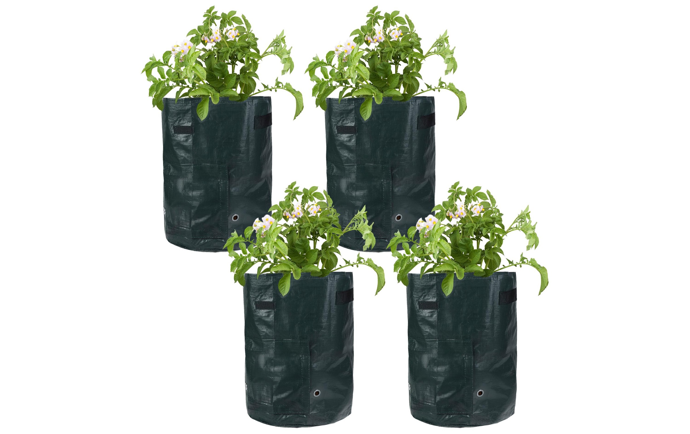 Image of STRUCT Pflanzschale "4er Set, PE," Robuster Sack für Pflanzen