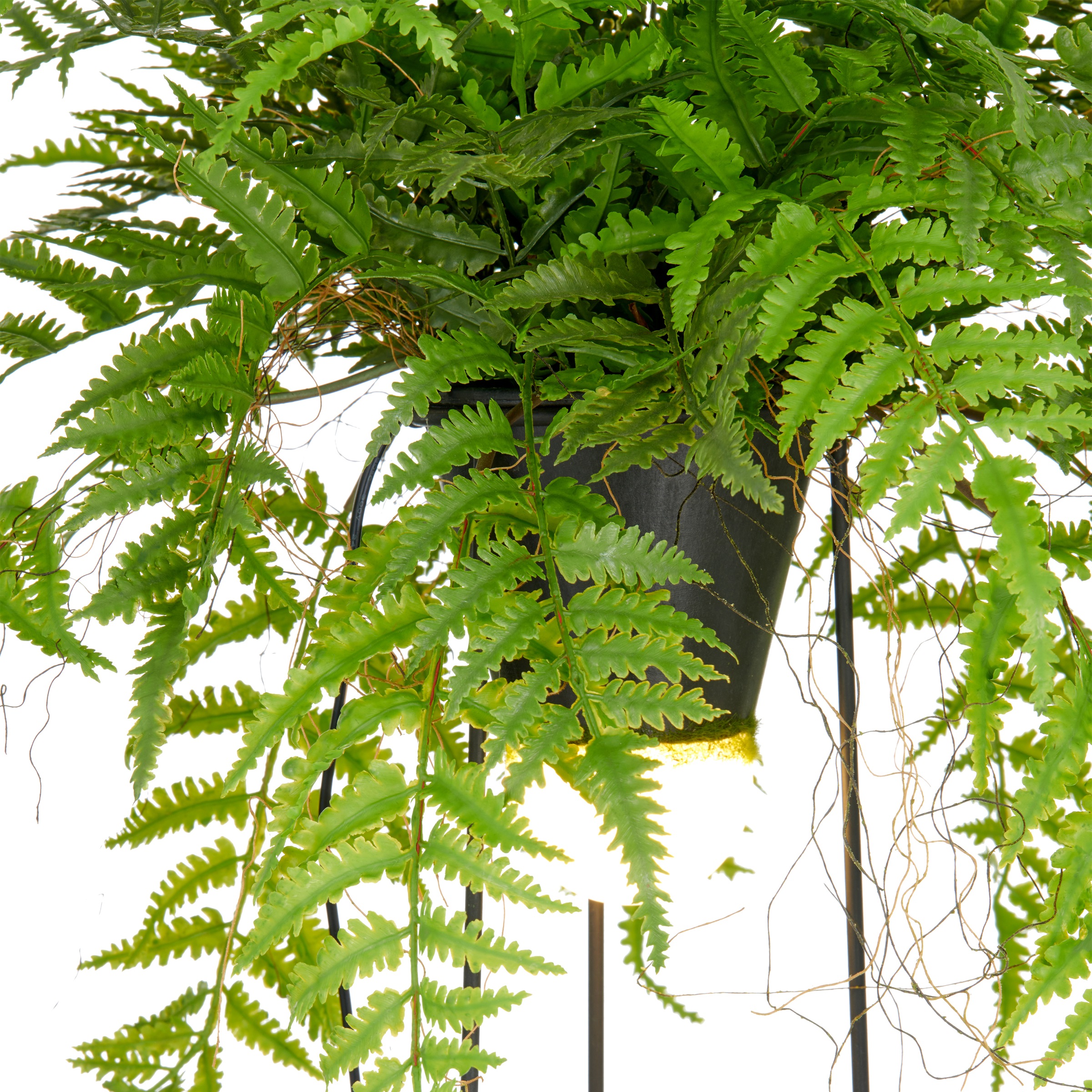 Creativ green Kunstpflanze »Farn als Dekostandleuchte« mit LED-Beleuchtung