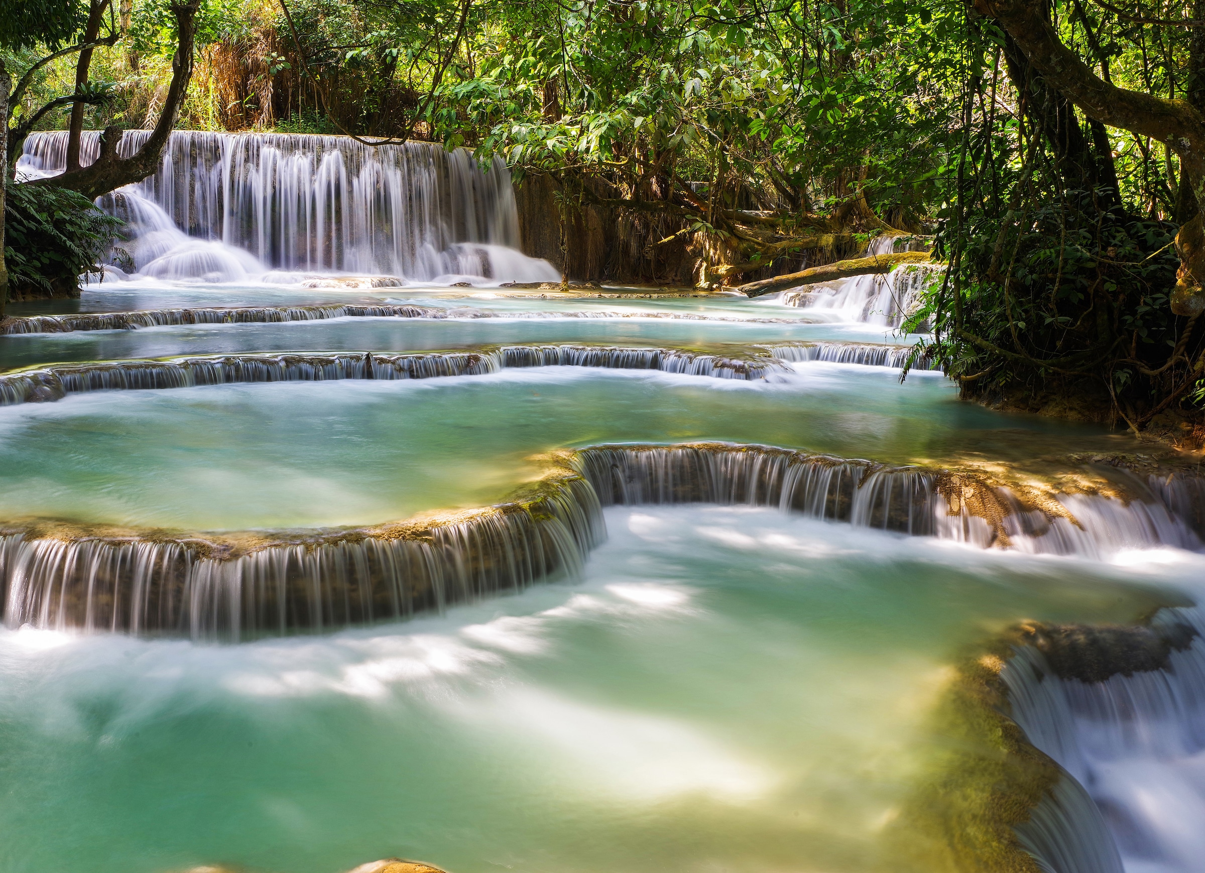 Image of Papermoon Fototapete "Forest Waterfall Laos" glatt