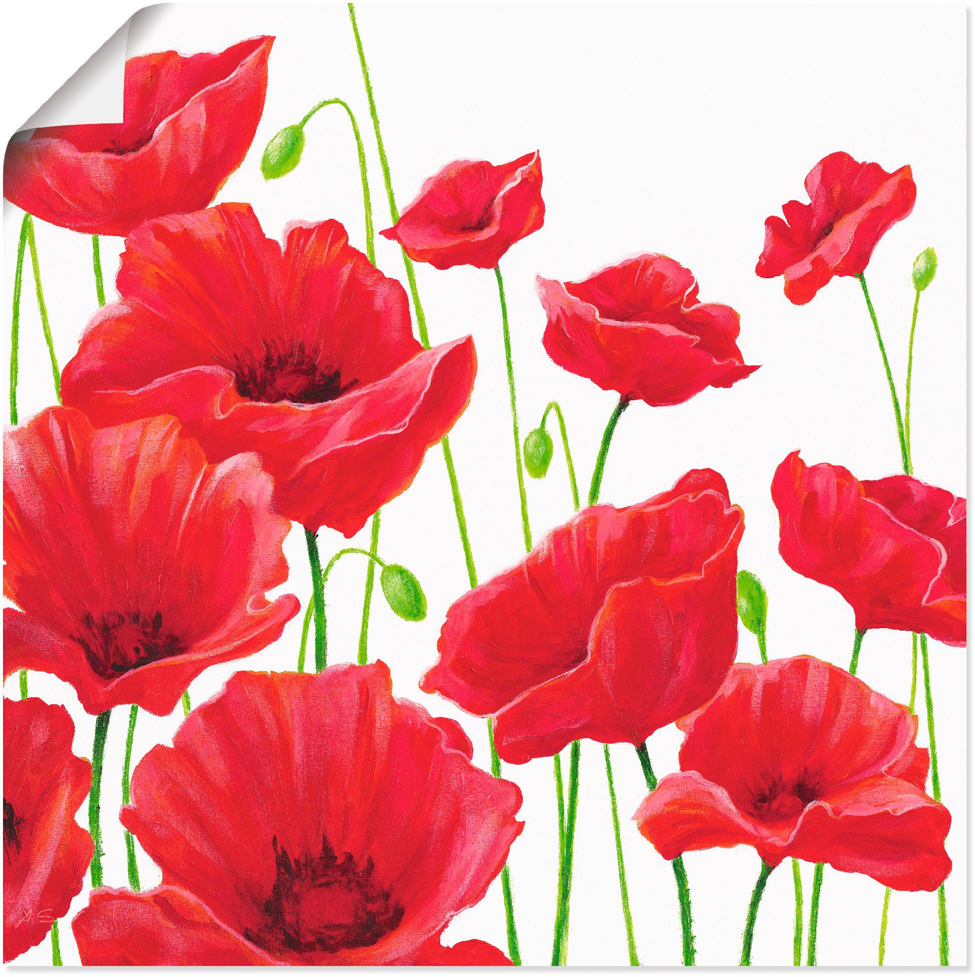 Wandbild »Rote Mohnblumen I«, Blumen, (1 St.), als Alubild, Outdoorbild, Leinwandbild,...