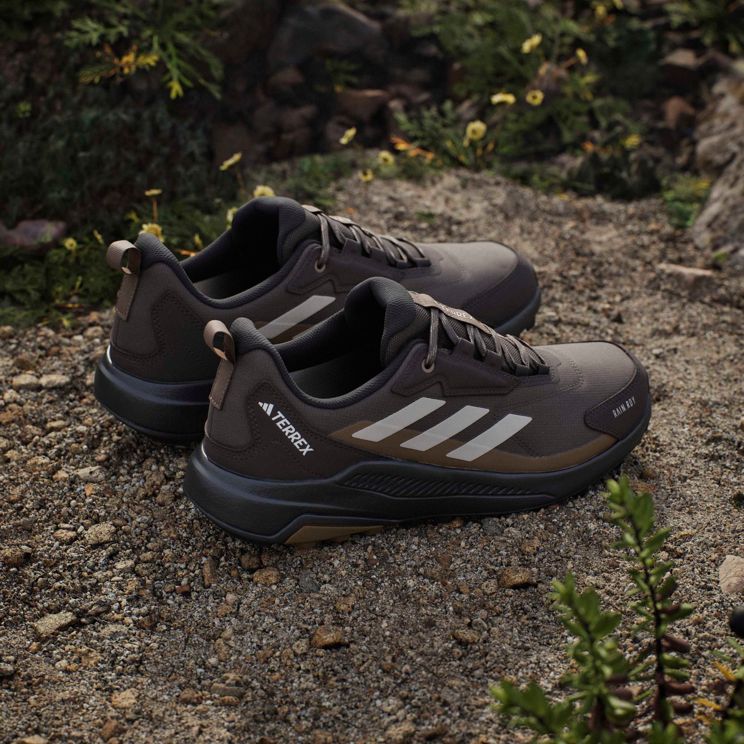 adidas TERREX Chaussure de randonnée »ANYLANDER RAIN.RDY«  étanche