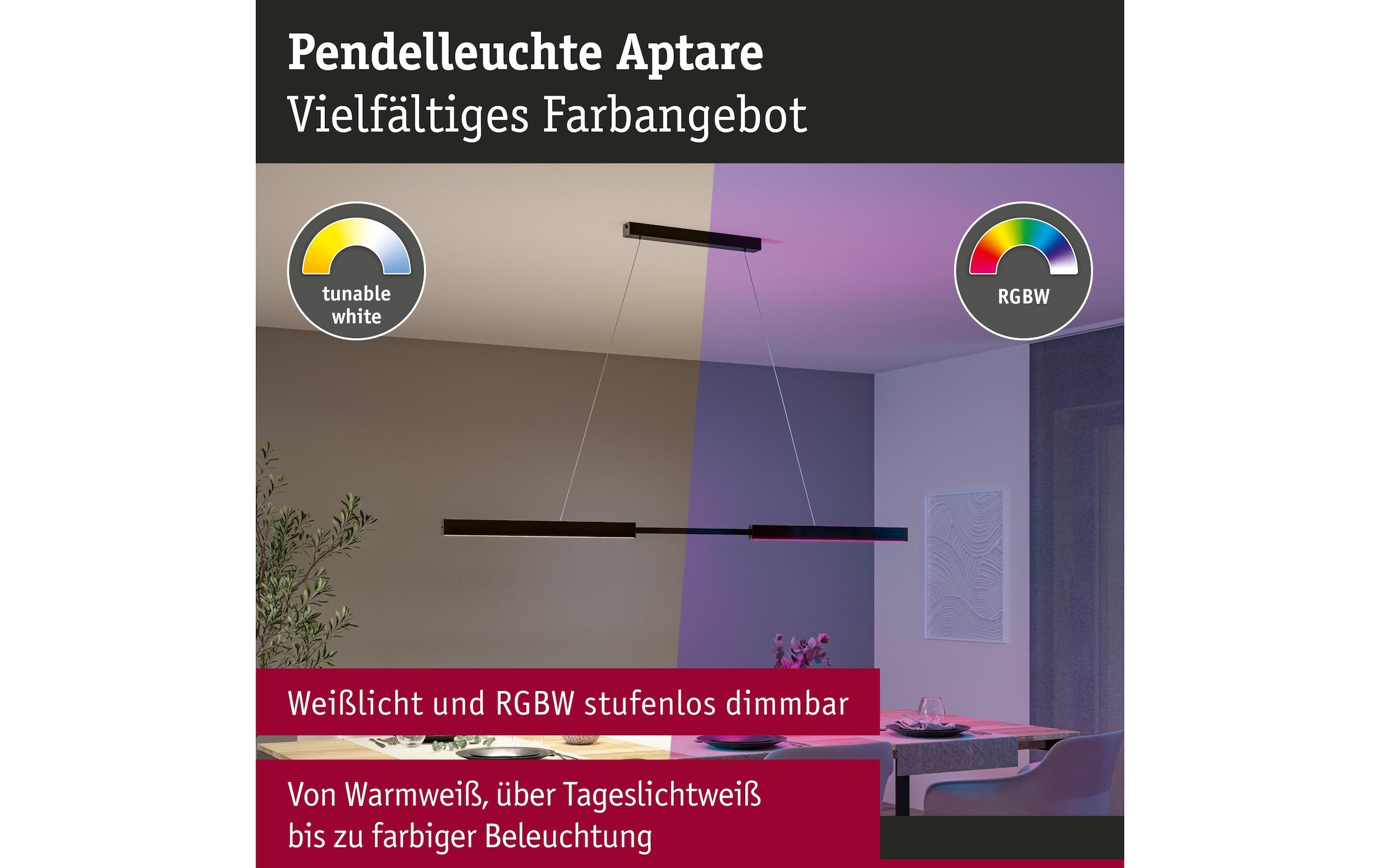 Paulmann Pendelleuchte »LED Pendelleuchte Smart Home Zigbee« LED-Modul RGB | warmweiss - kaltweiss