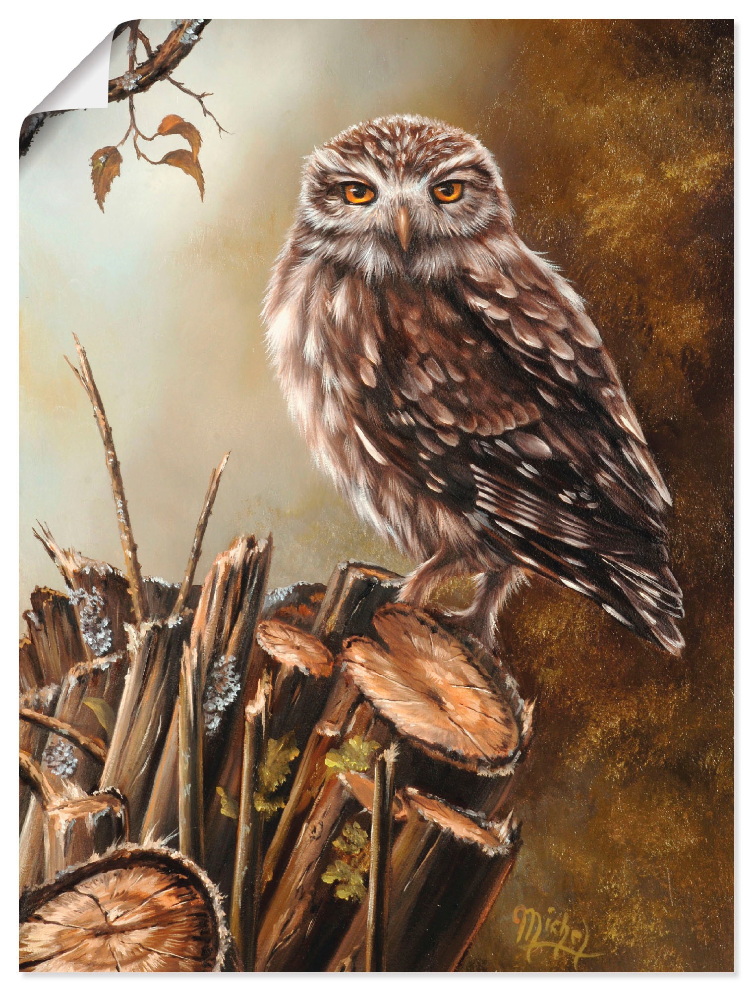 Artland Wandbild »Eule«, Vögel, (1 St.), als Leinwandbild, Wandaufkleber  oder Poster in versch. Grössen maintenant