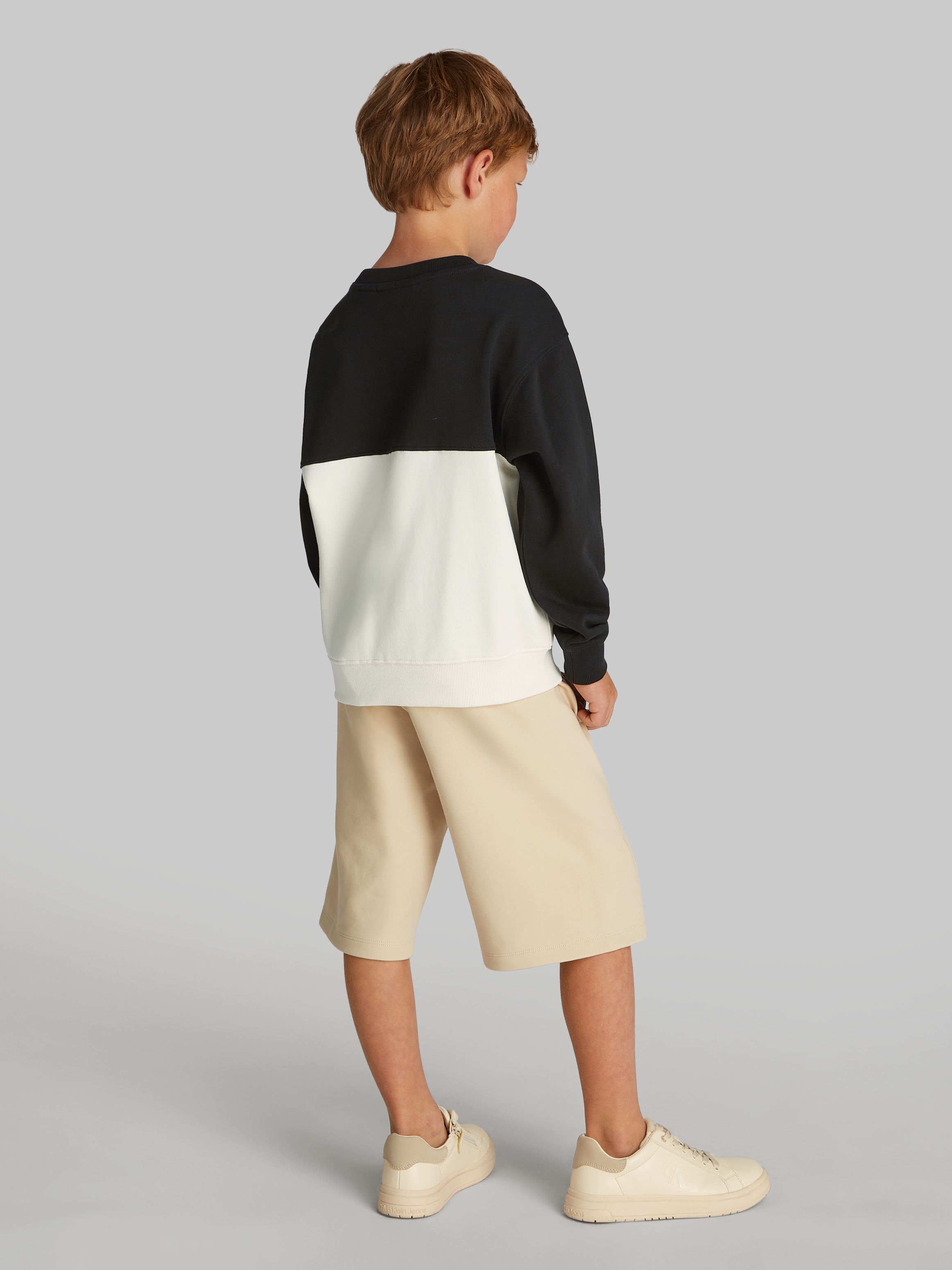 Calvin Klein Jeans Sweatshirt »COLOR BLOCK TERRY CN«, im Colorblock-Design