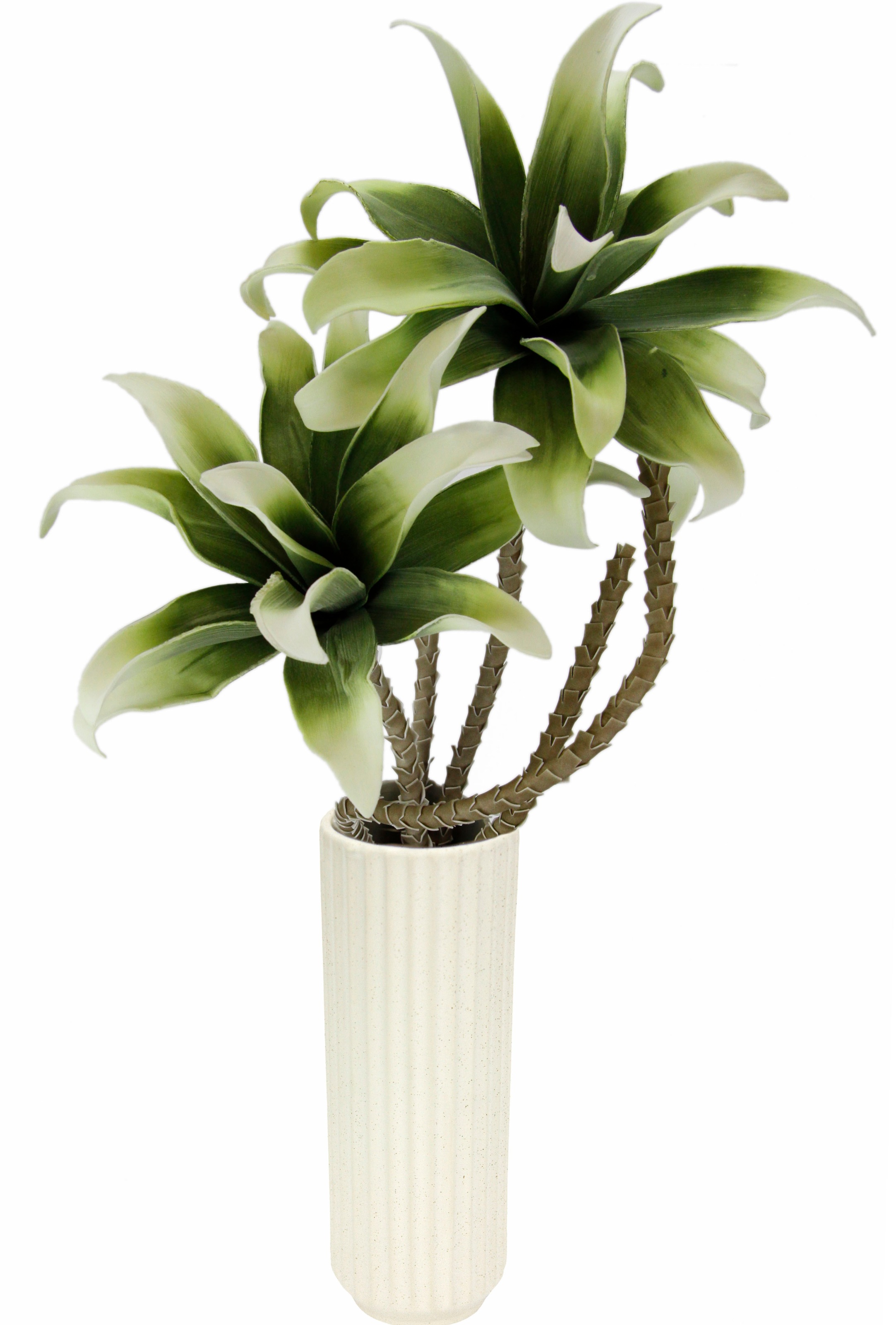 Image of I.GE.A. Kunstpflanze »Soft-Magnolie in Vase« bei Ackermann Versand Schweiz