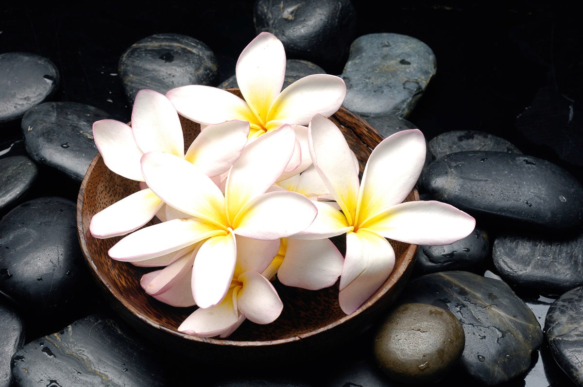 Image of Papermoon Fototapete "Blumen mit Steinen"