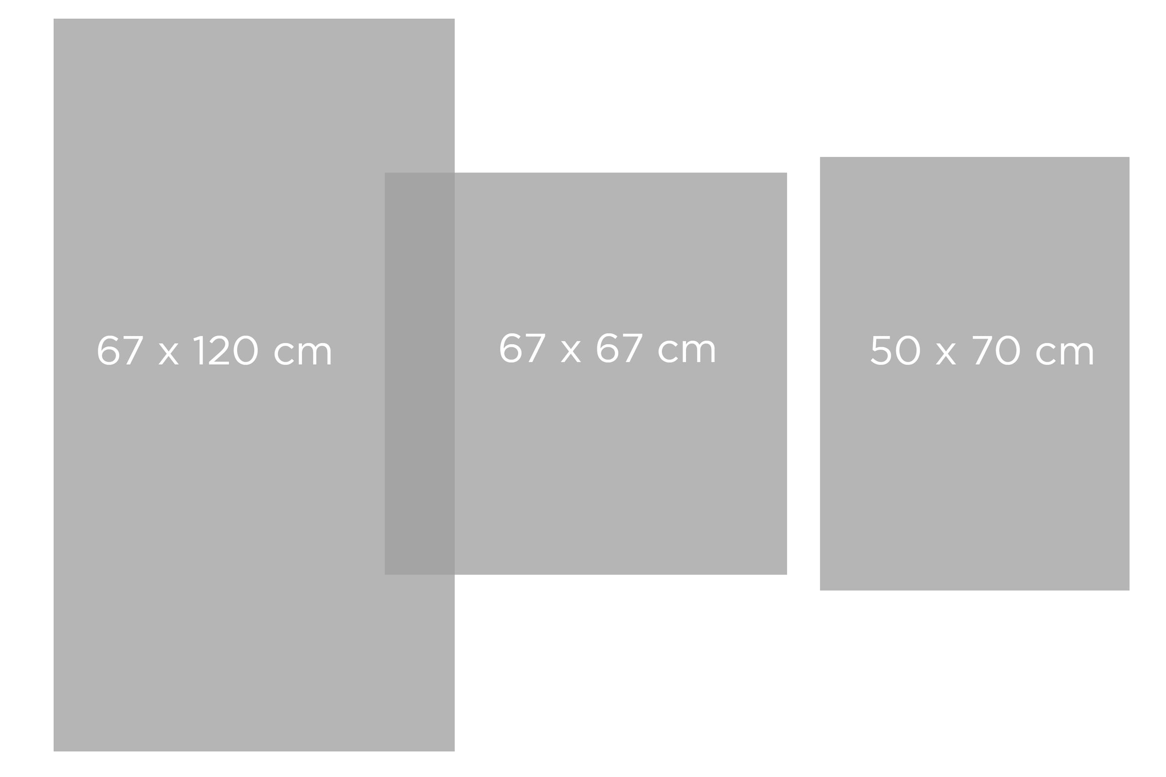 framsohn frottier Tapis de bain »Essential« Höhe 11 mm utilisable des deux côtés coton, tapis de bain, tissage serré, tapis d’hôtel, fil torsadé