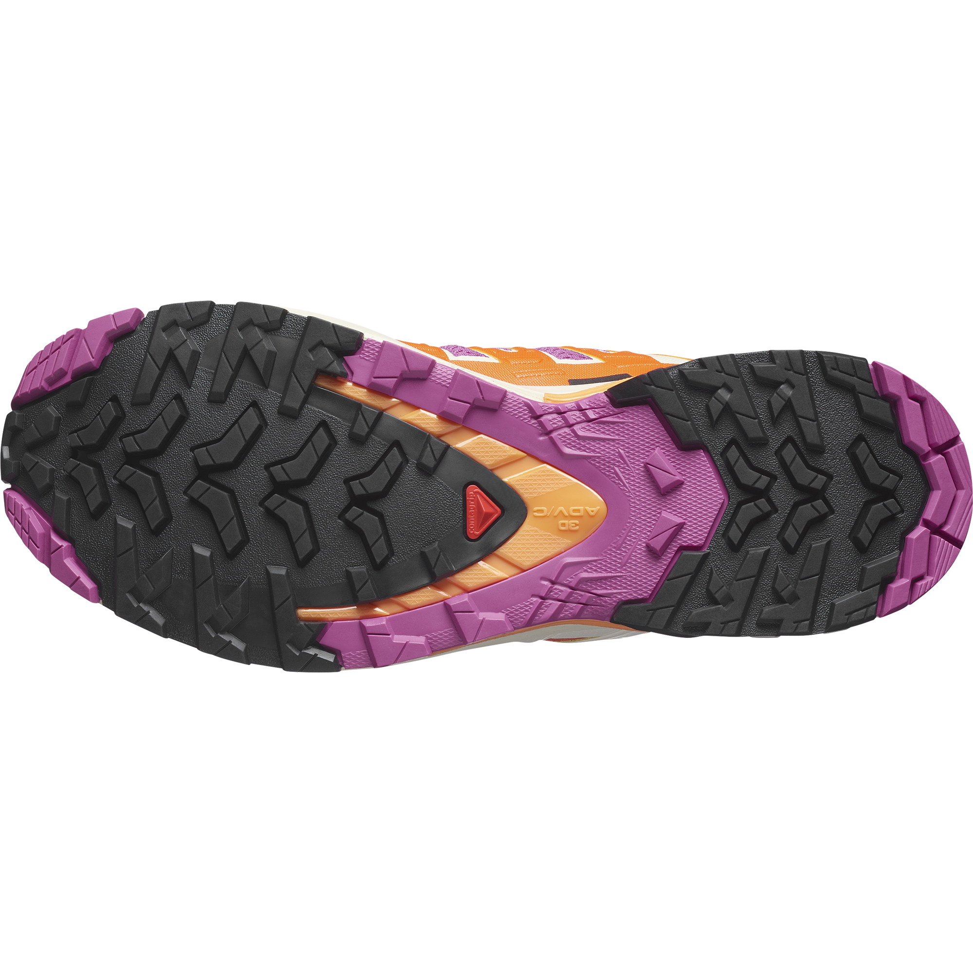 Salomon Trailrunningschuh »XA PRO 3D V9«