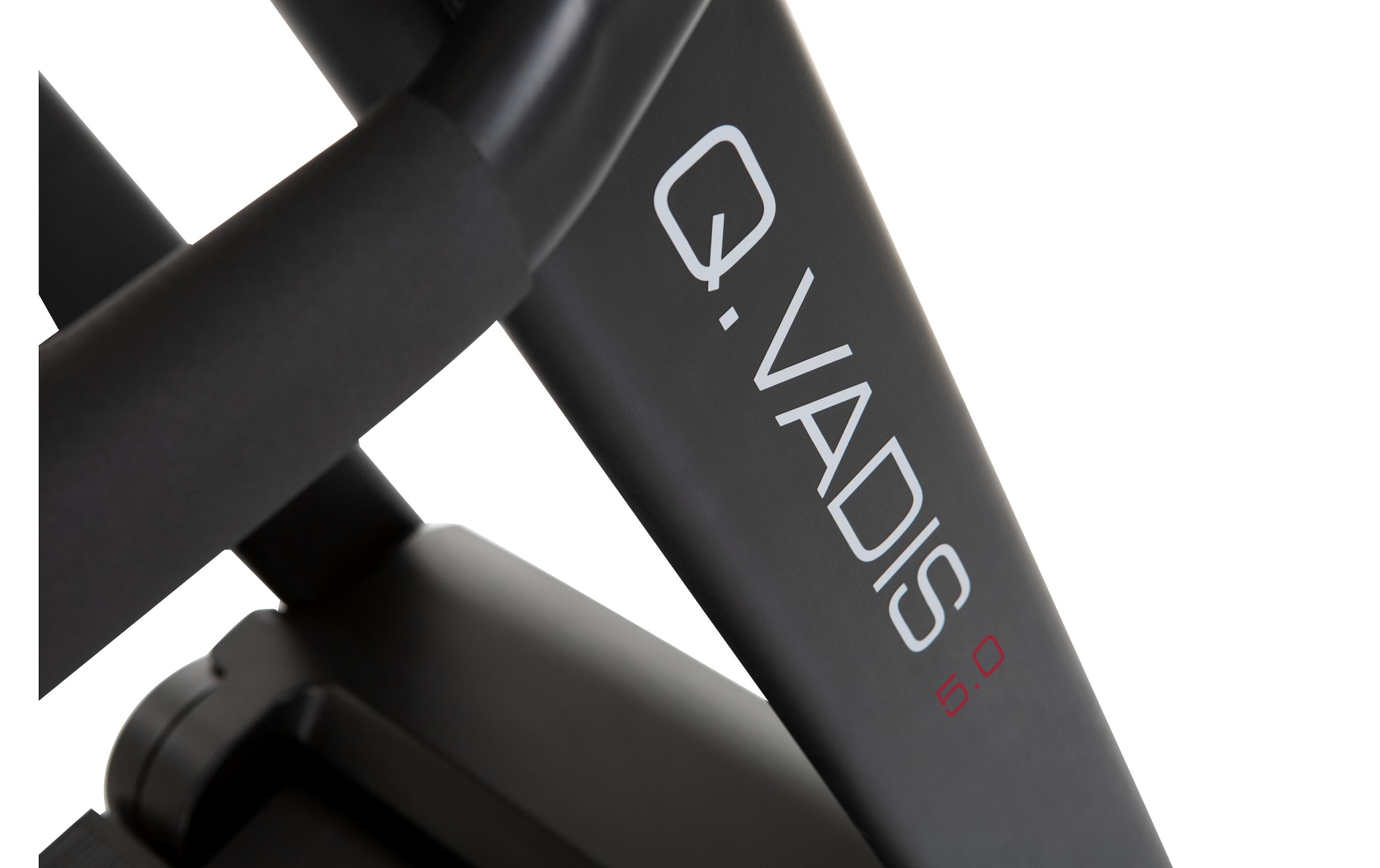 Hammer Laufband »Q. Vadis 5.0«