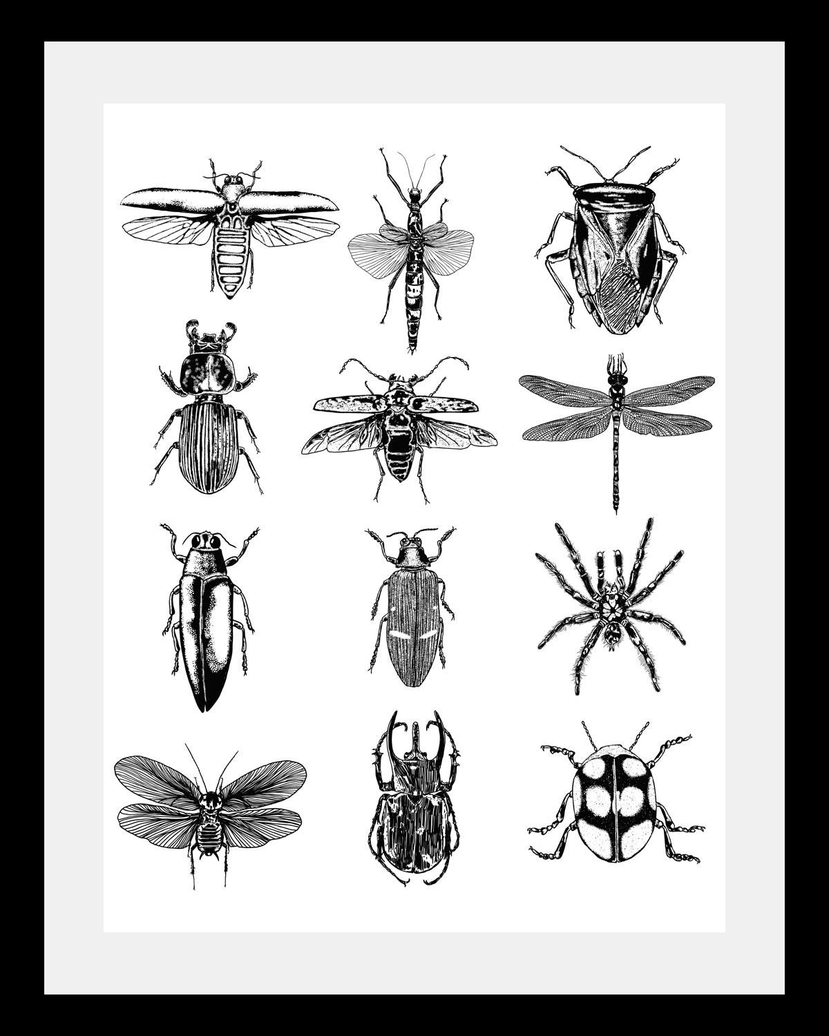 Image of queence Bild "Insekten" Insekten Kunst Schwarz-Weiss Tiere HD Premium Poster-Druck inkl. Holzrahmen