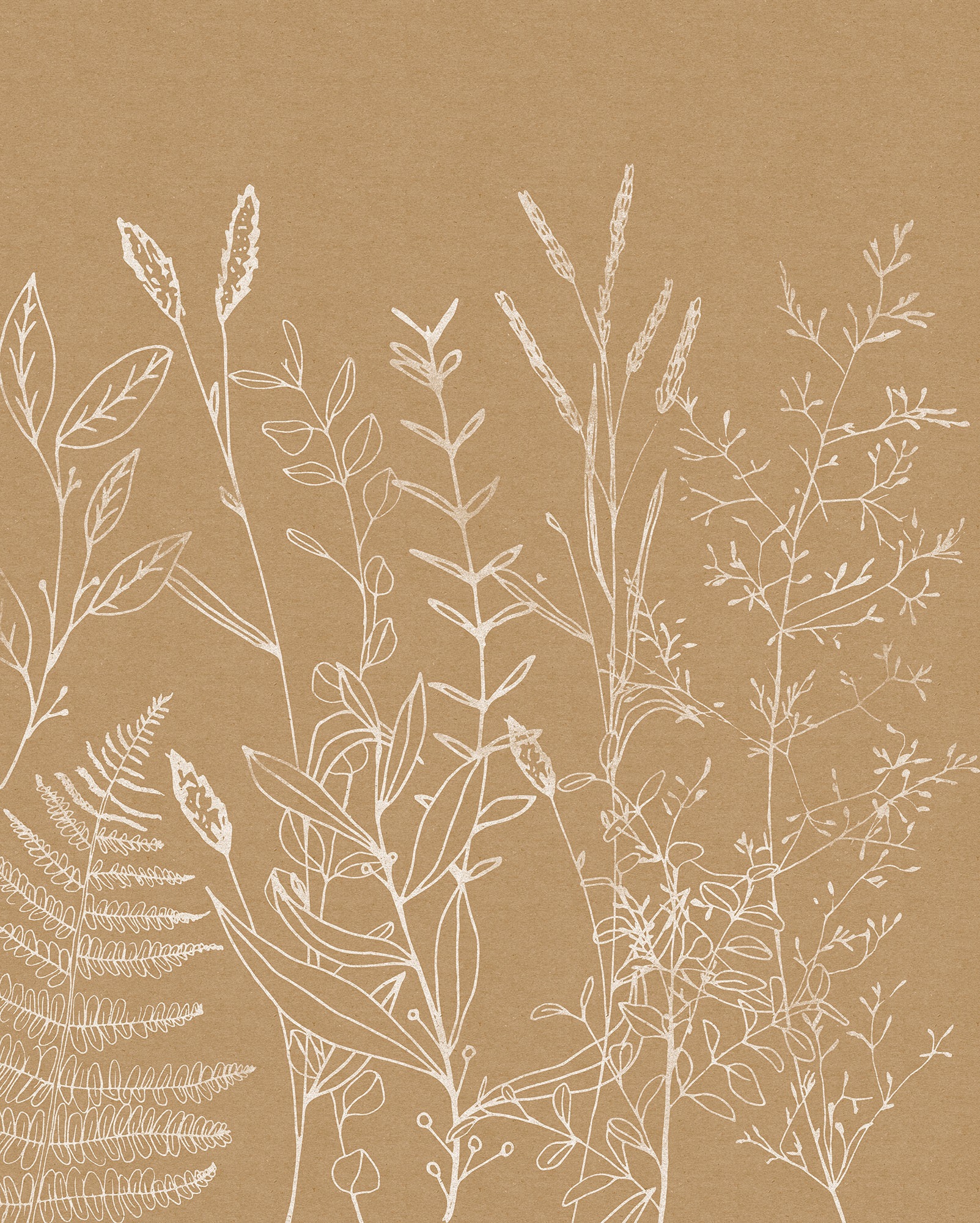 Image of Komar Vliestapete "Digitaldruck Vlies - Herbs Garden - Grösse 200 x 250 cm" bedruckt glatt Wohnzimmer, Schlafzimmer