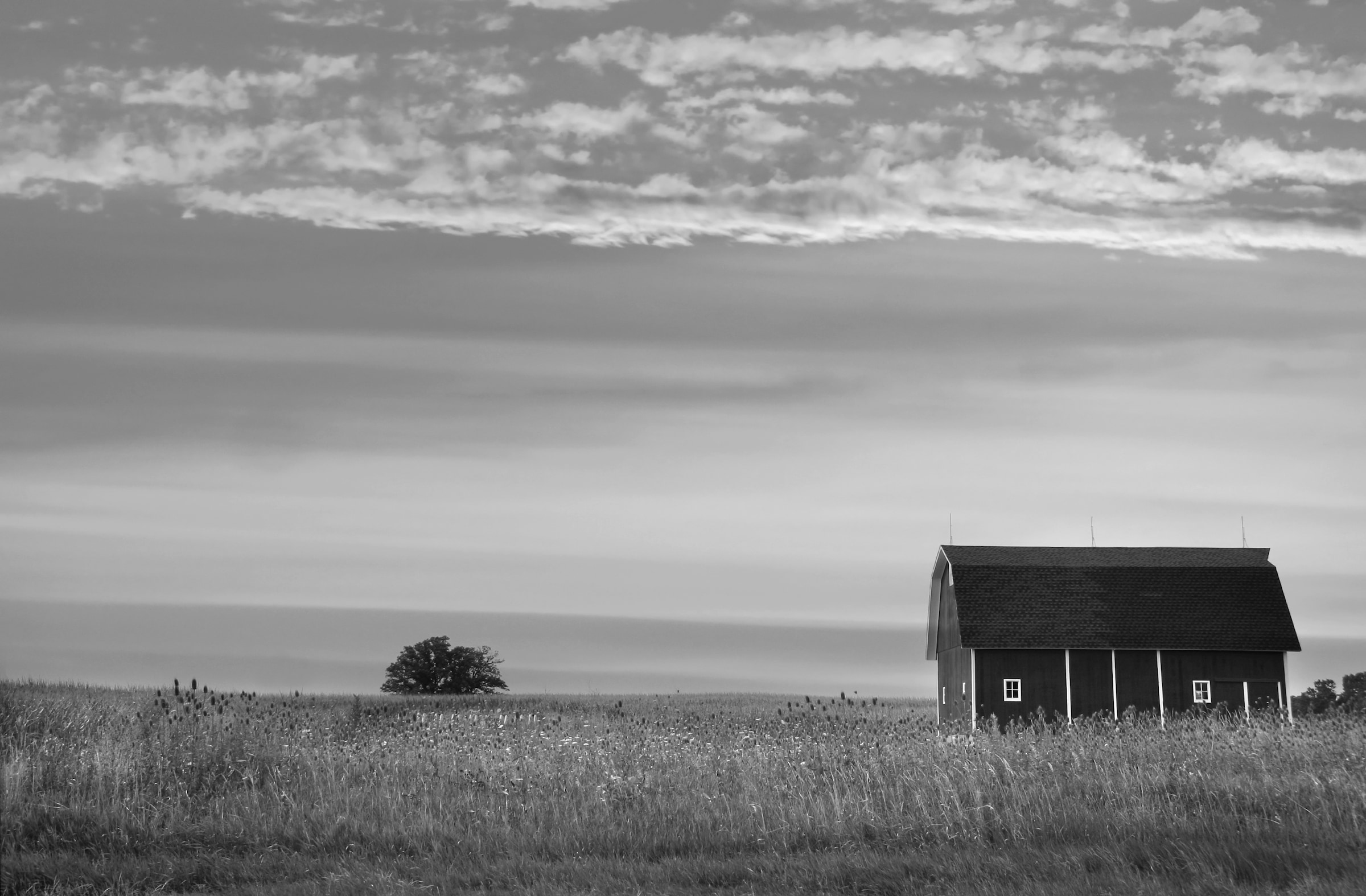 Image of Papermoon Fototapete "Farm Schwarz & Weiss"
