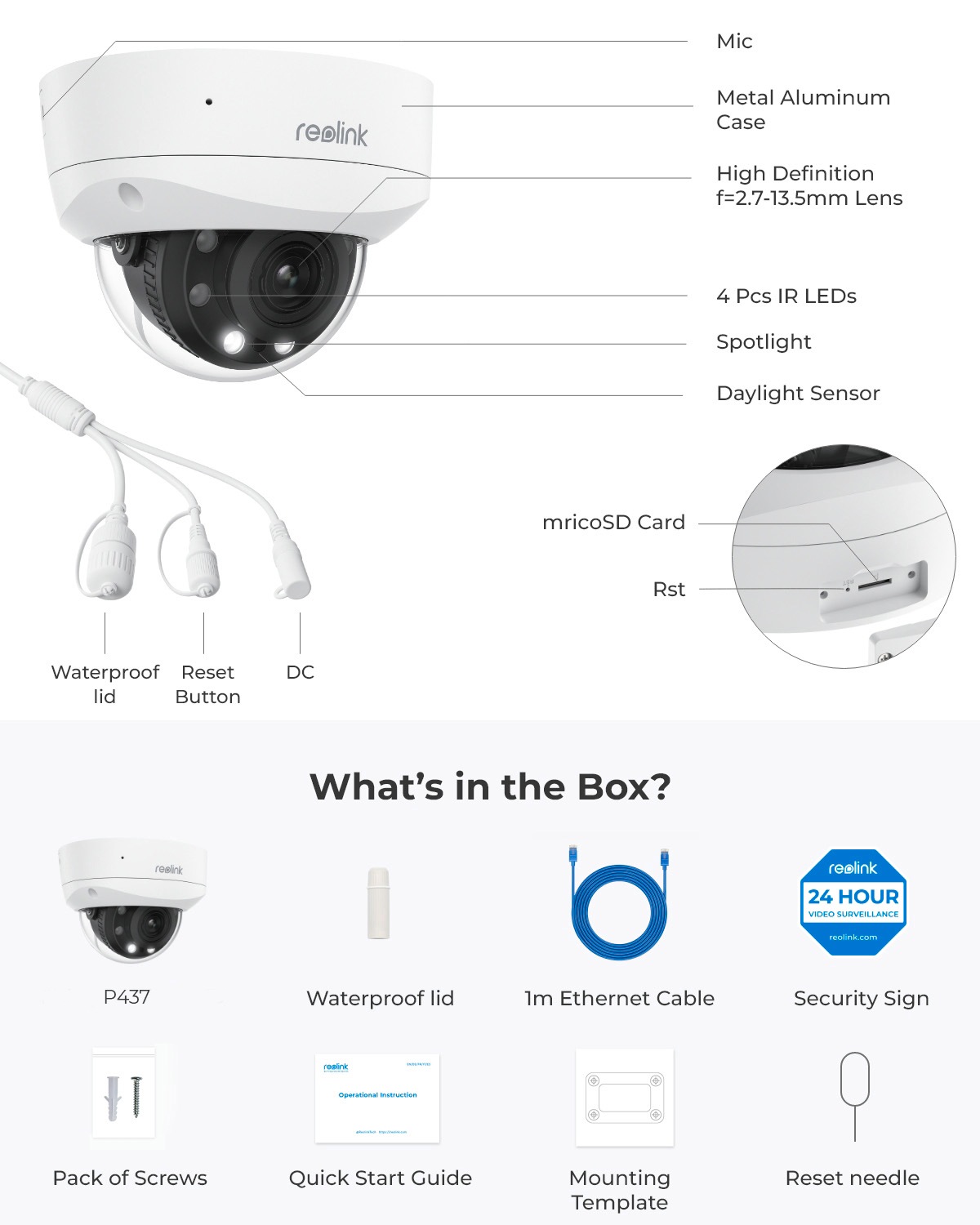 Überwachungskamera »P437 PoE Cam«, Aussenbereich