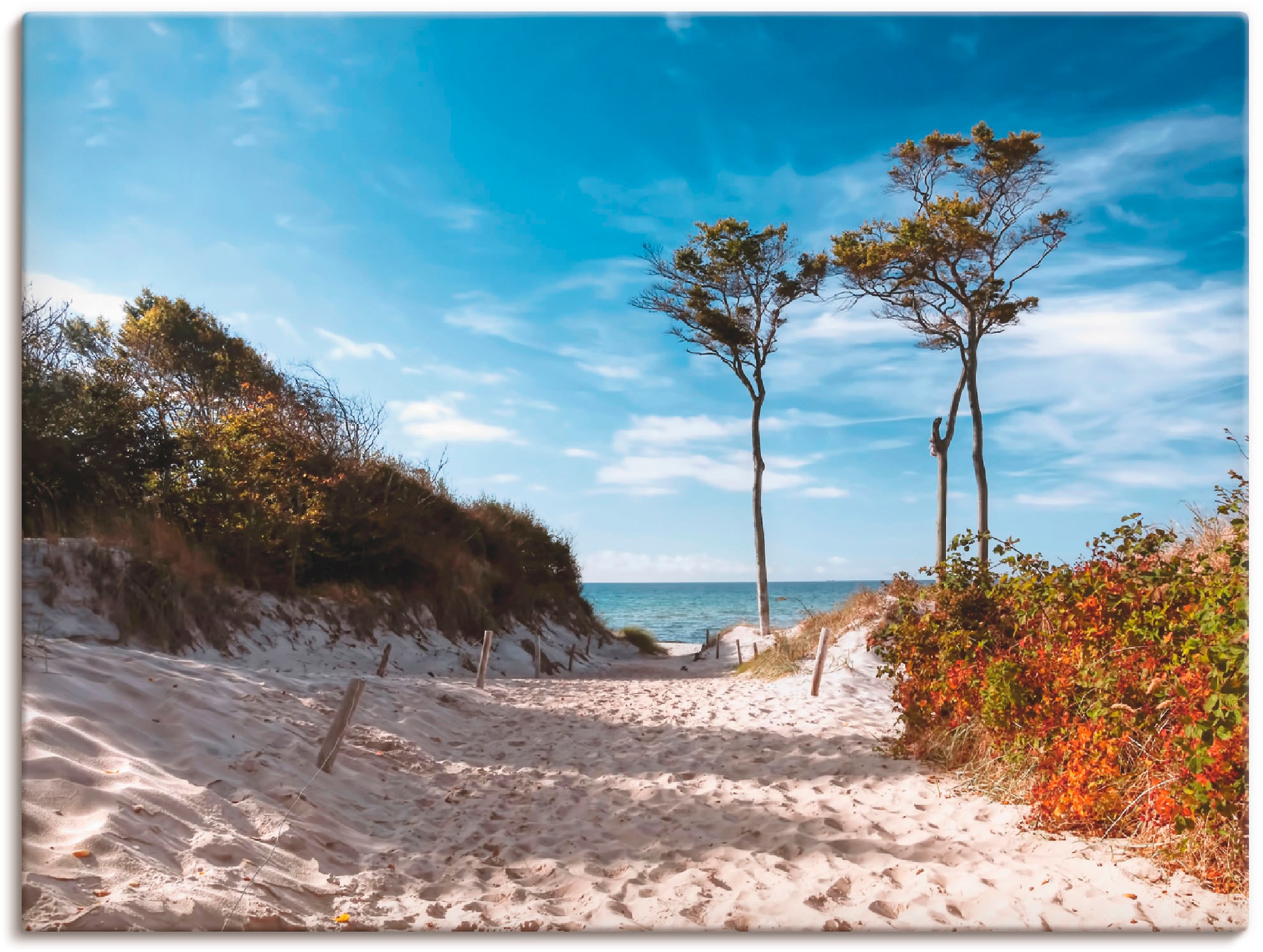 Image of Artland Leinwandbild "Weststrand Darss" Strand 1 Stk. tlg. auf Holzrahmen gespannt