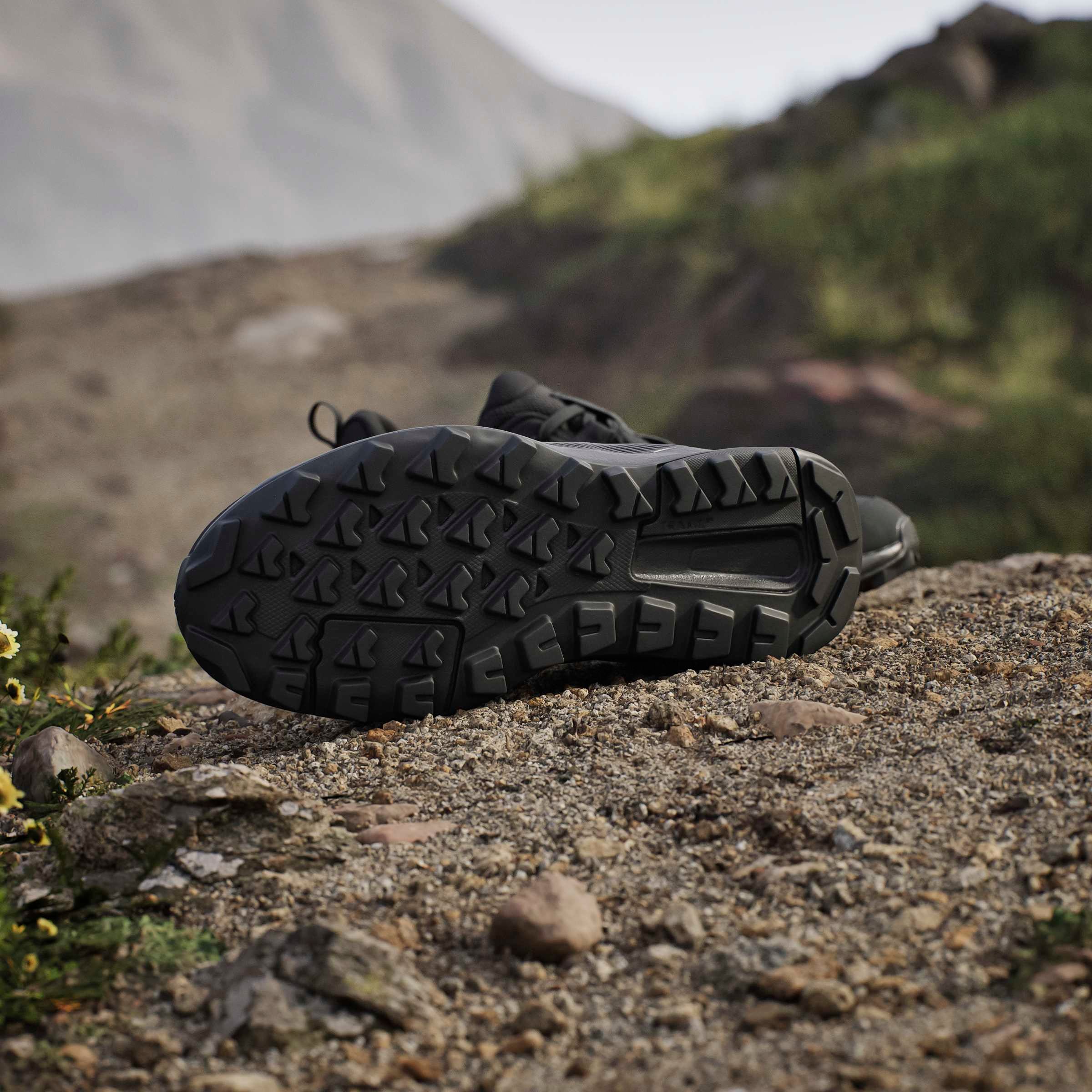 adidas TERREX Chaussure de randonnée »TERREX ANYLANDER«