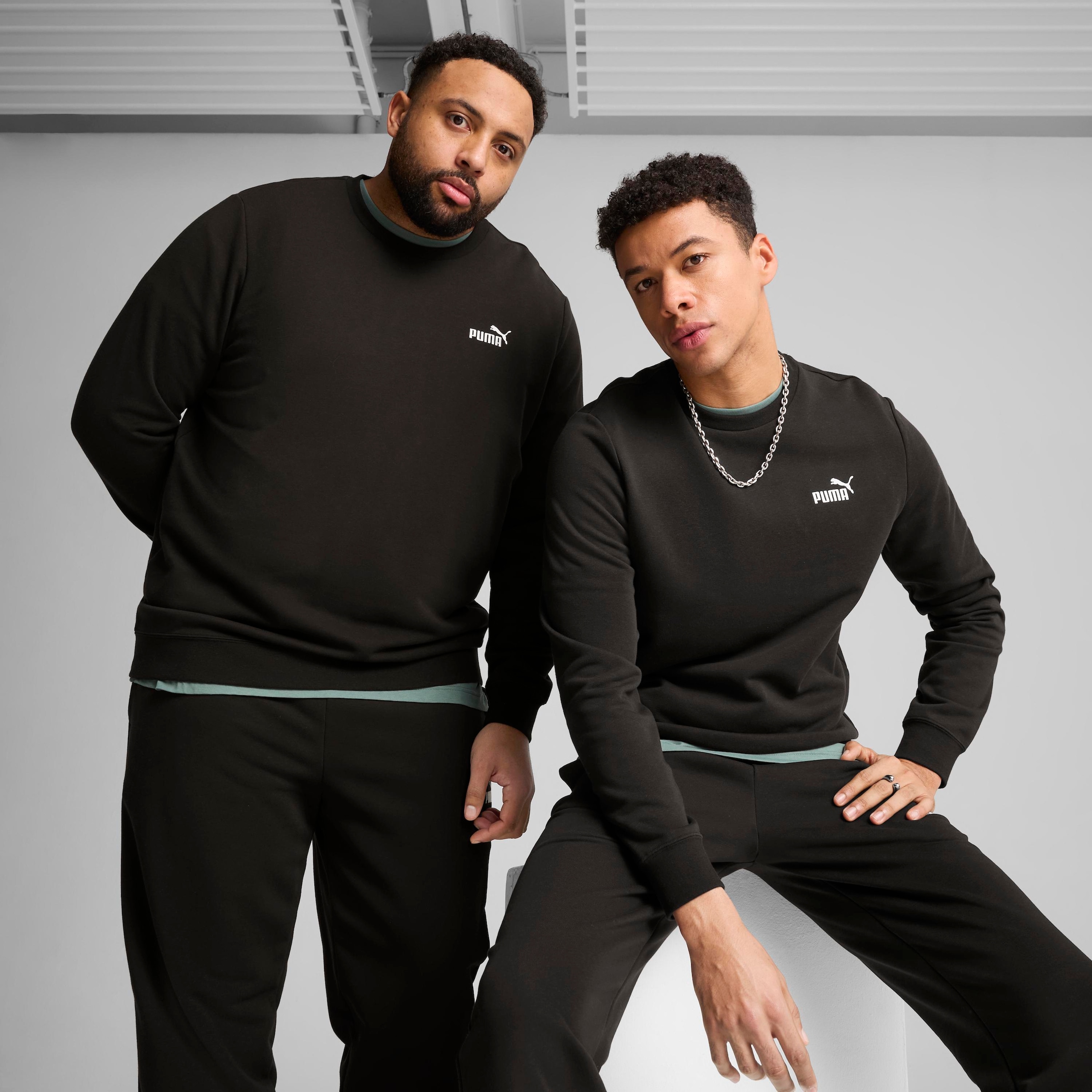 Image of PUMA Langarmshirt "ESS SMALL NO 1 LOGO CREW TR" Regular Fit, Langarm, für sportlichen Alltag, Rundhalsausschnitt
