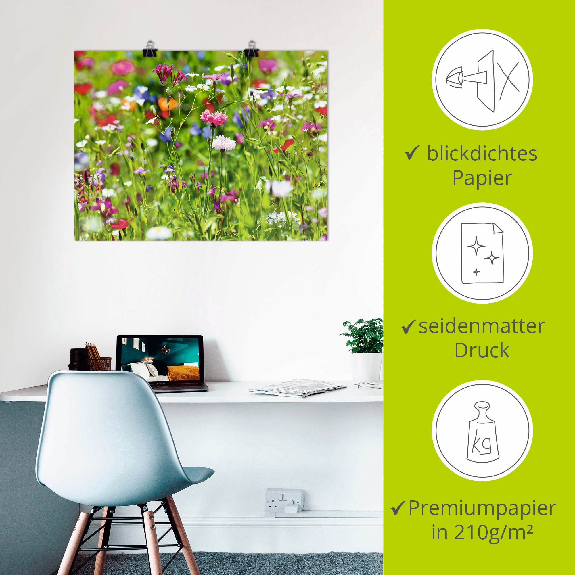 Artland Wandbild »Blumenwiese I« Blumenwiese 1 Stk. tlg. als Leinwandbild, Poster in verschied. Grössen