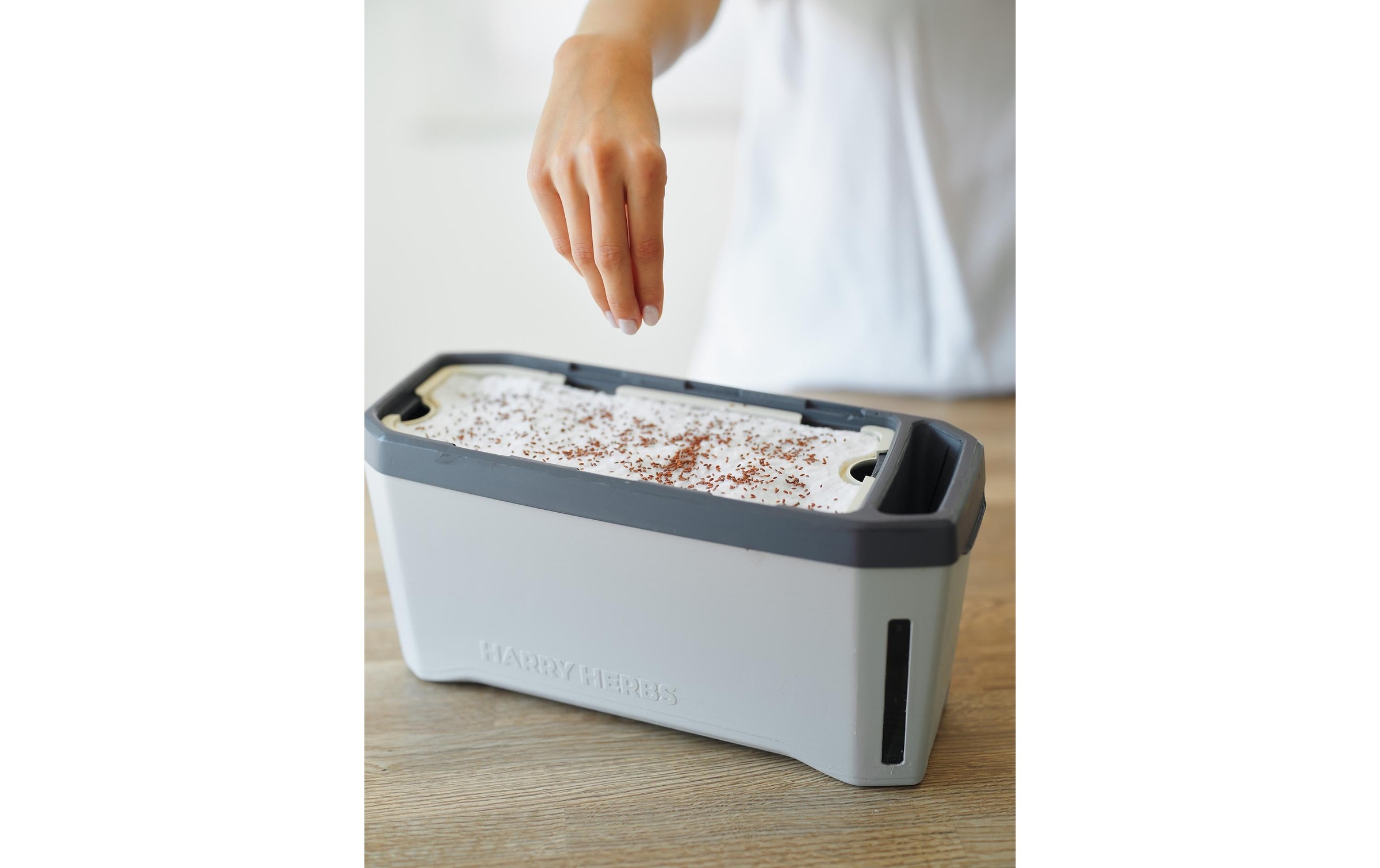 Gusta Garden Kräutertopf »HERBS hellgrau«