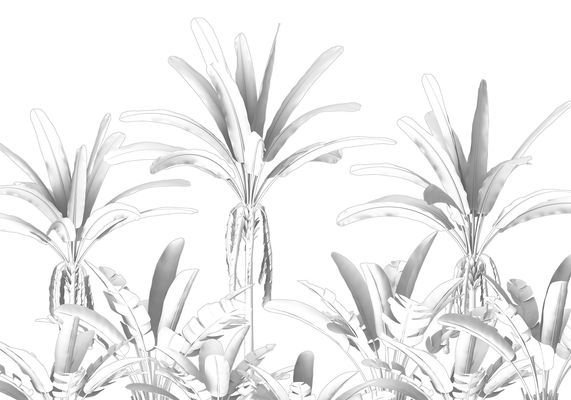 Image of Komar Fototapete »Musa«, floral-Wald-natürlich bei Ackermann Versand Schweiz