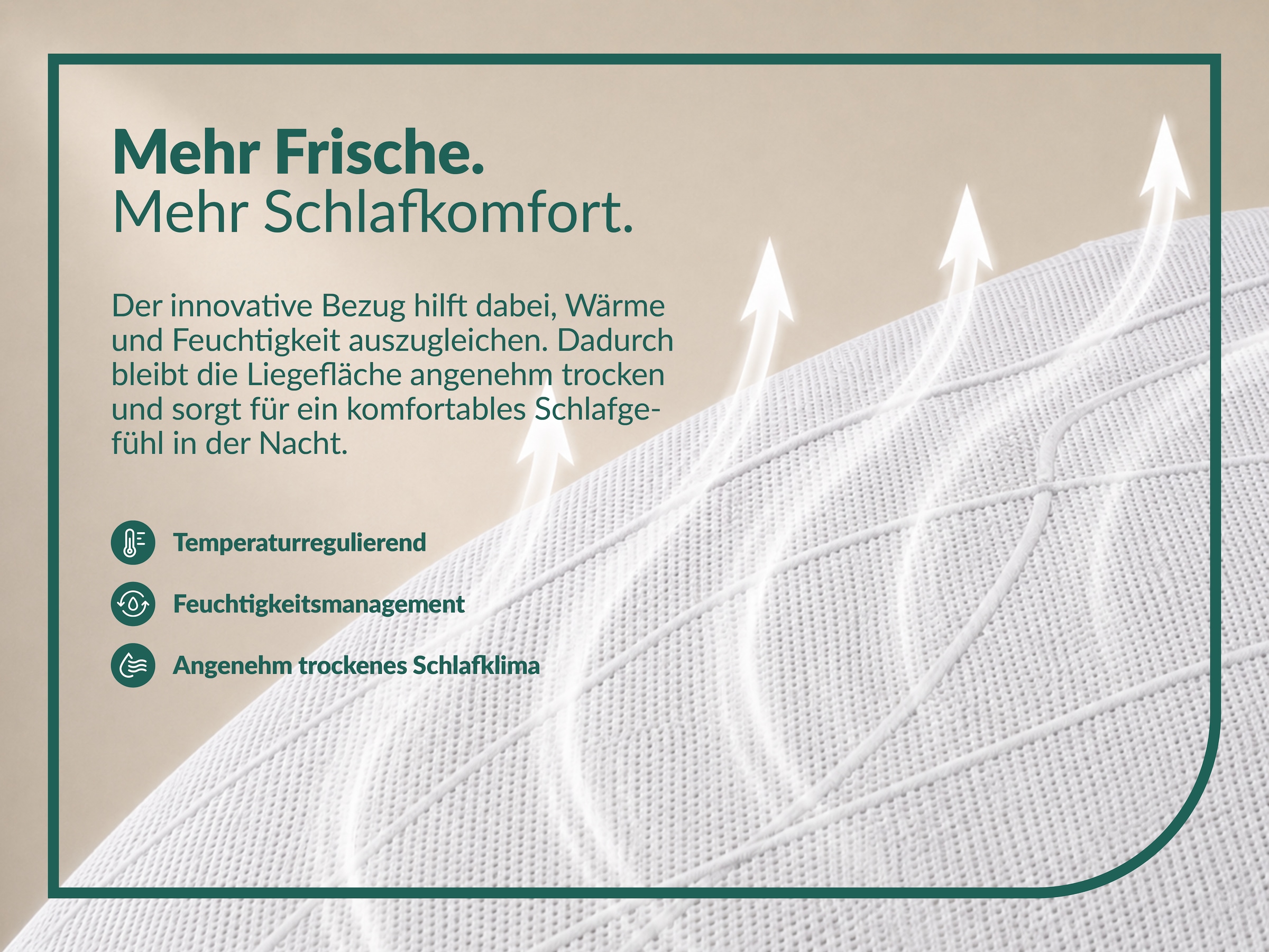 fan Matelas à ressorts ensachés »fan Flexible Duo T, Matratze 90x200 cm, 140x200 cm & mehr, in H2/H3« 22 cm hoch 1.034 Federn 1 cuis tlg. Matelas réversible avec housse Pure Fresh, 1034 ressorts (pour 100 x 200 cm)