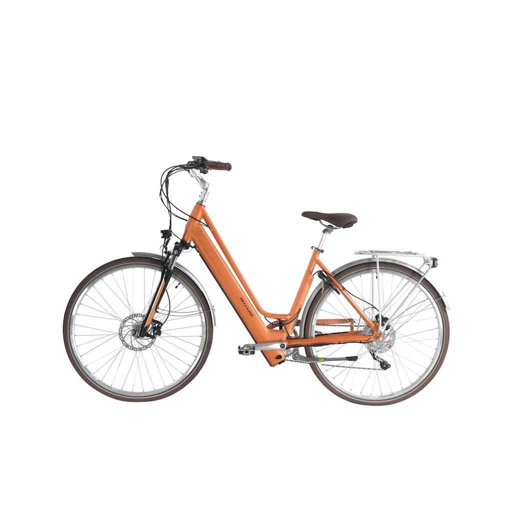 ALLEGRO E-Bike »City ACIL°03«, Heckmotor 250 W