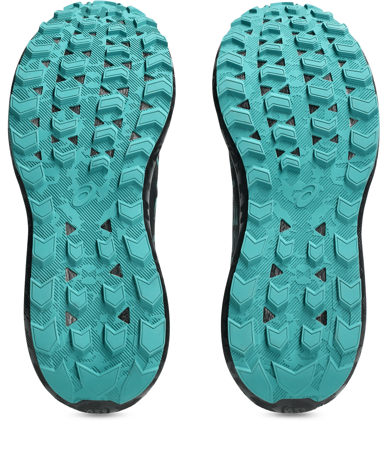 Asics Trailrunningschuh »GEL-SONOMA 8 GTX«, wasserdicht