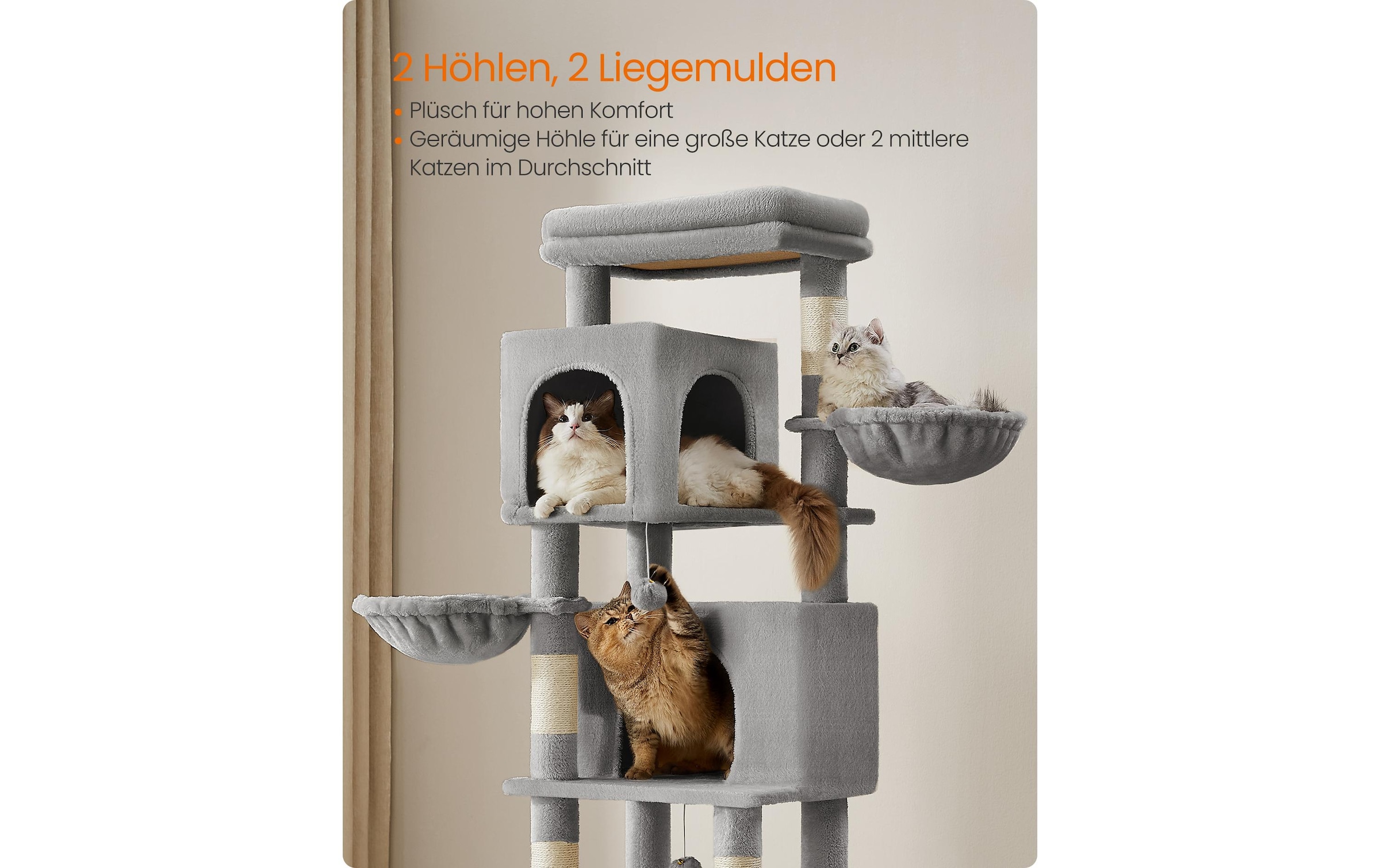 FEANDREA Arbre à chat »für Wohnungskatzen 178 cm« 175 cm hoch