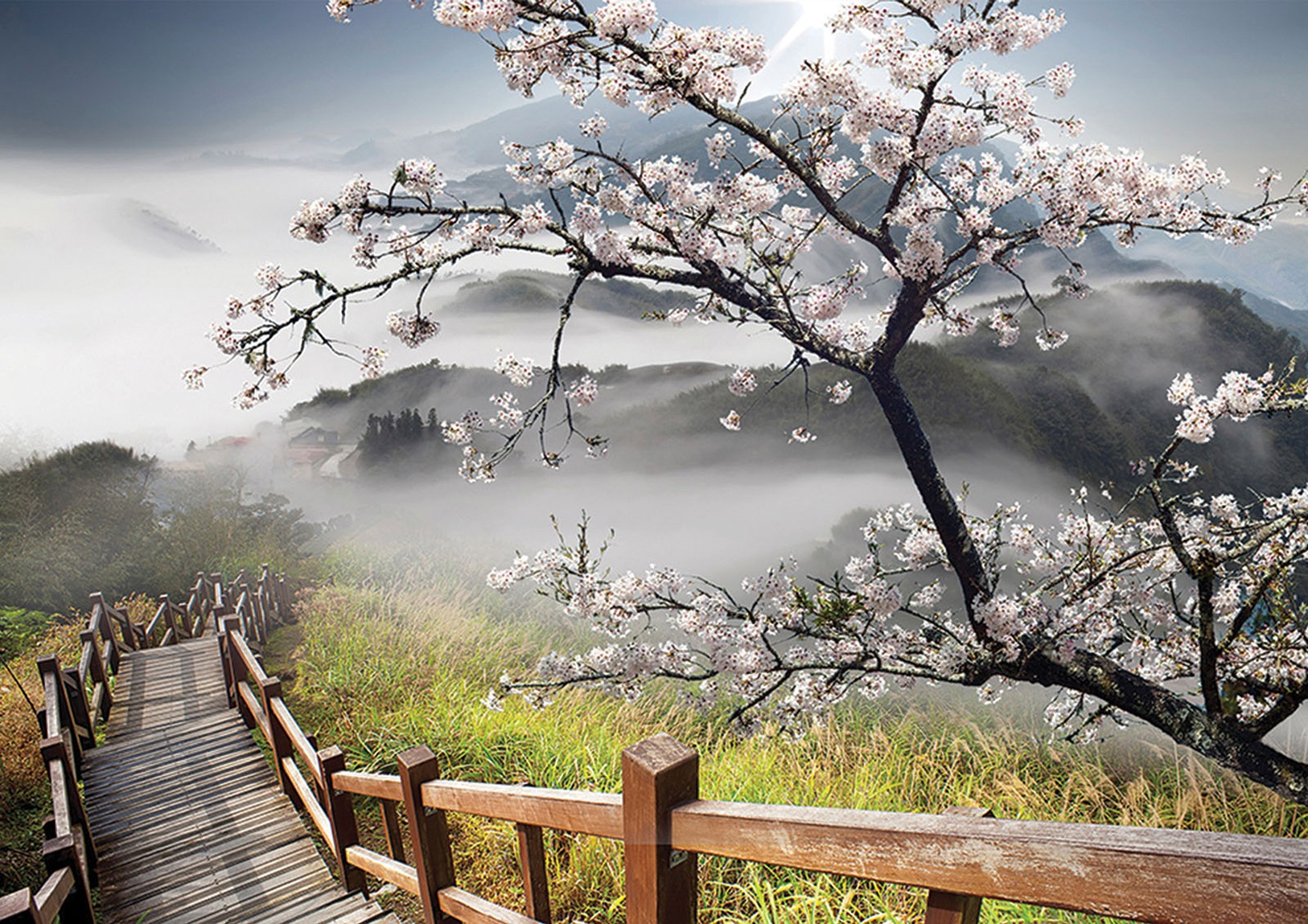 Image of Consalnet Papiertapete »FRÜHLING«, grafisch, in verschiedenen Grössen bei Ackermann Versand Schweiz