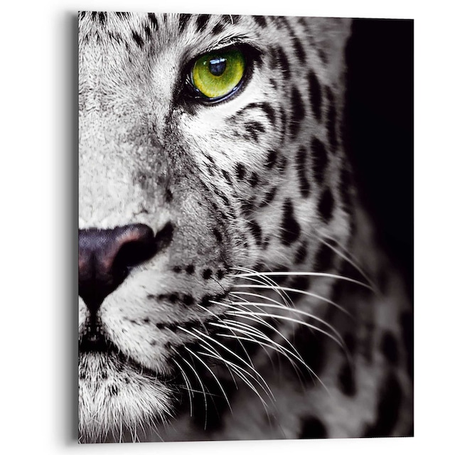 ♕ Reinders! Wandbild »Wandbild Panthers Auge Raubetier - Kräftig -  Leopard«, Tiere, (1 St.) versandkostenfrei auf
