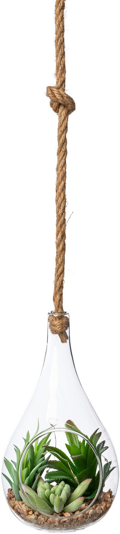 Image of Creativ green Künstliche Zimmerpflanze »Sukkulenten-Mix mit LED-Beleuchtung«, (1 St.), Glasgefäss mit LED, zum Stellen oder Hängen geeignet bei Ackermann Versand Schweiz