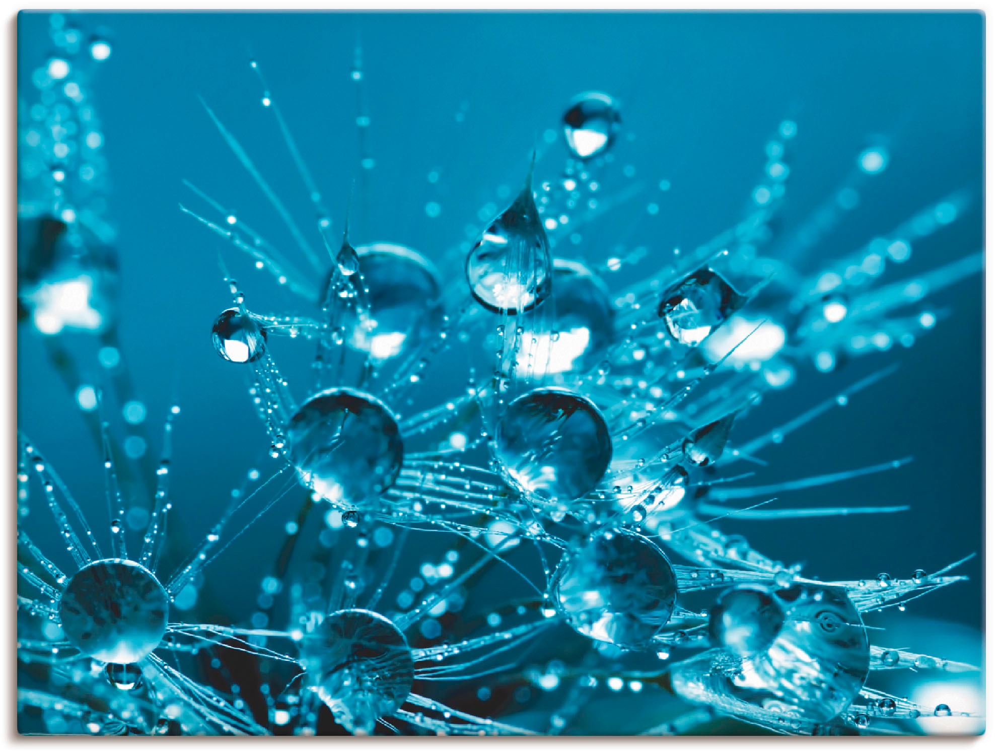 Image of Artland Wandbild »Glitzernde Pusteblume II«, Blumen, (1 St.), in vielen Grössen & Produktarten -Leinwandbild, Poster, Wandaufkleber / Wandtattoo auch für Badezimmer geeignet bei Ackermann Versand Schweiz