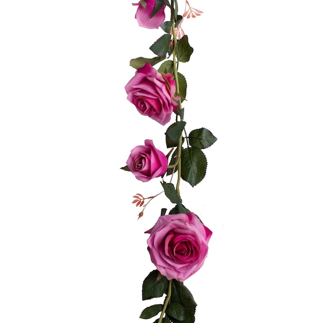 Botanic-Haus Kunstblume »Rosengirlande Dijon« günstig kaufen